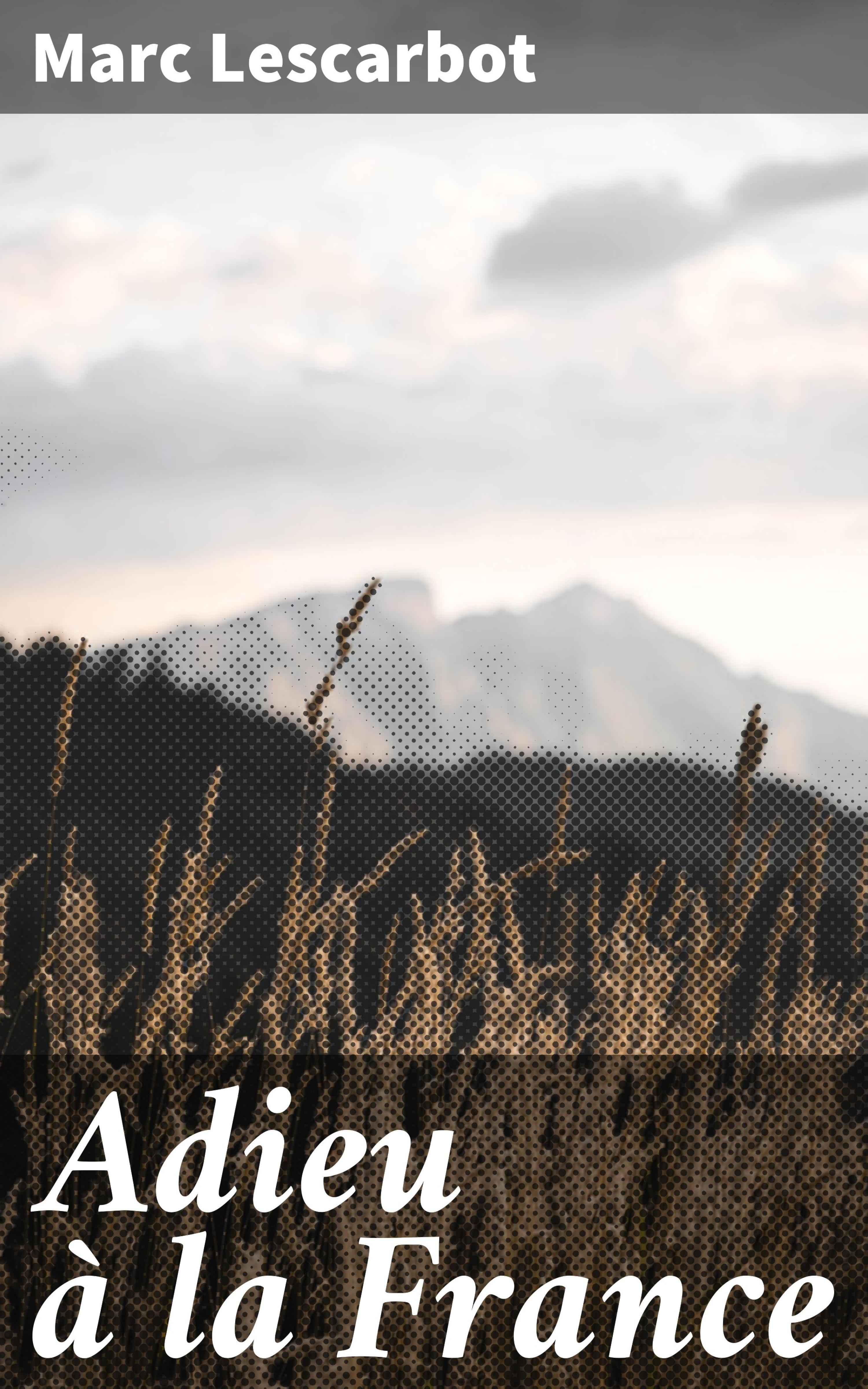 Обложка книги «Adieu à la France»
