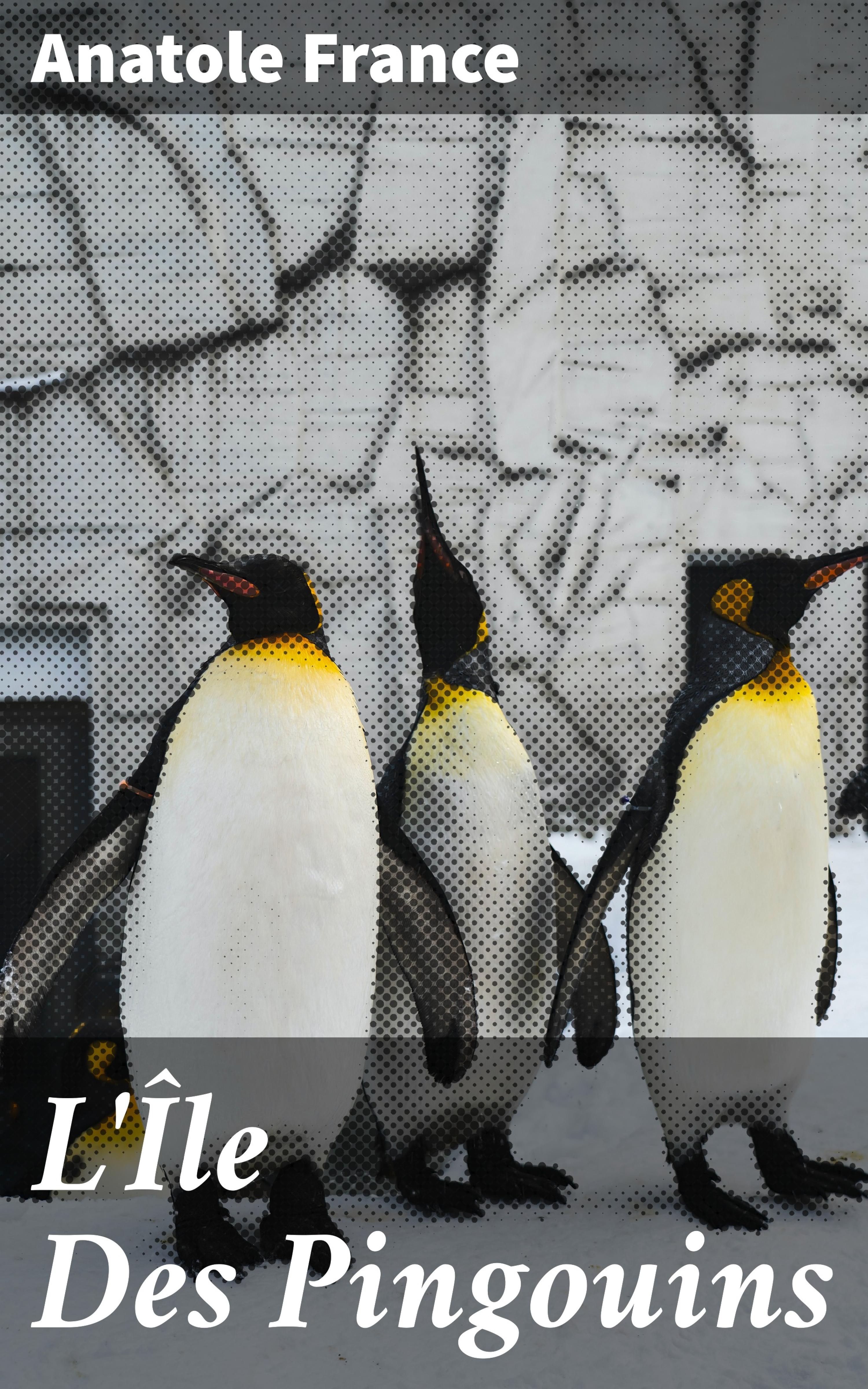 Обложка книги «L'Île Des Pingouins»