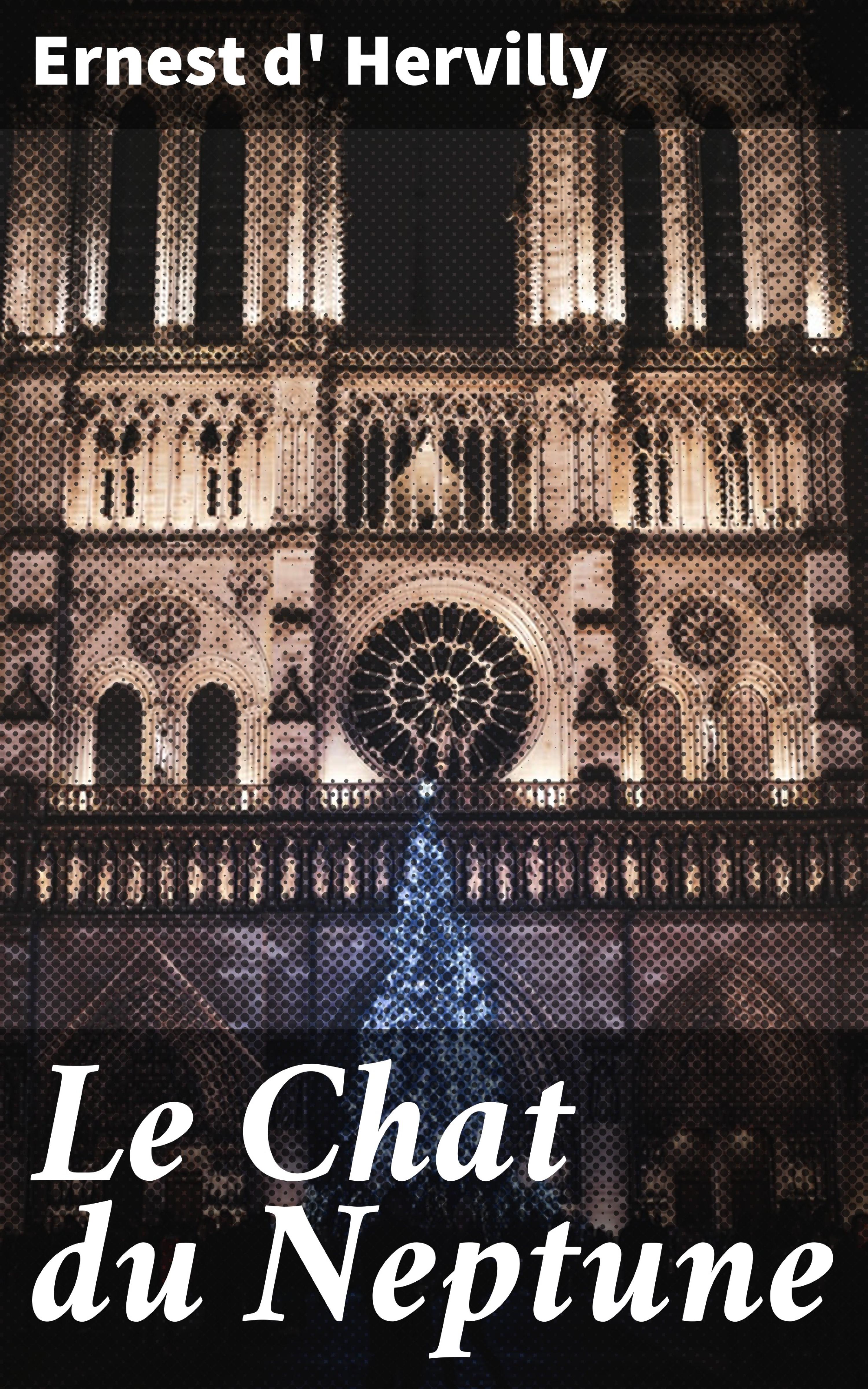 Обложка книги «Le Chat du Neptune»