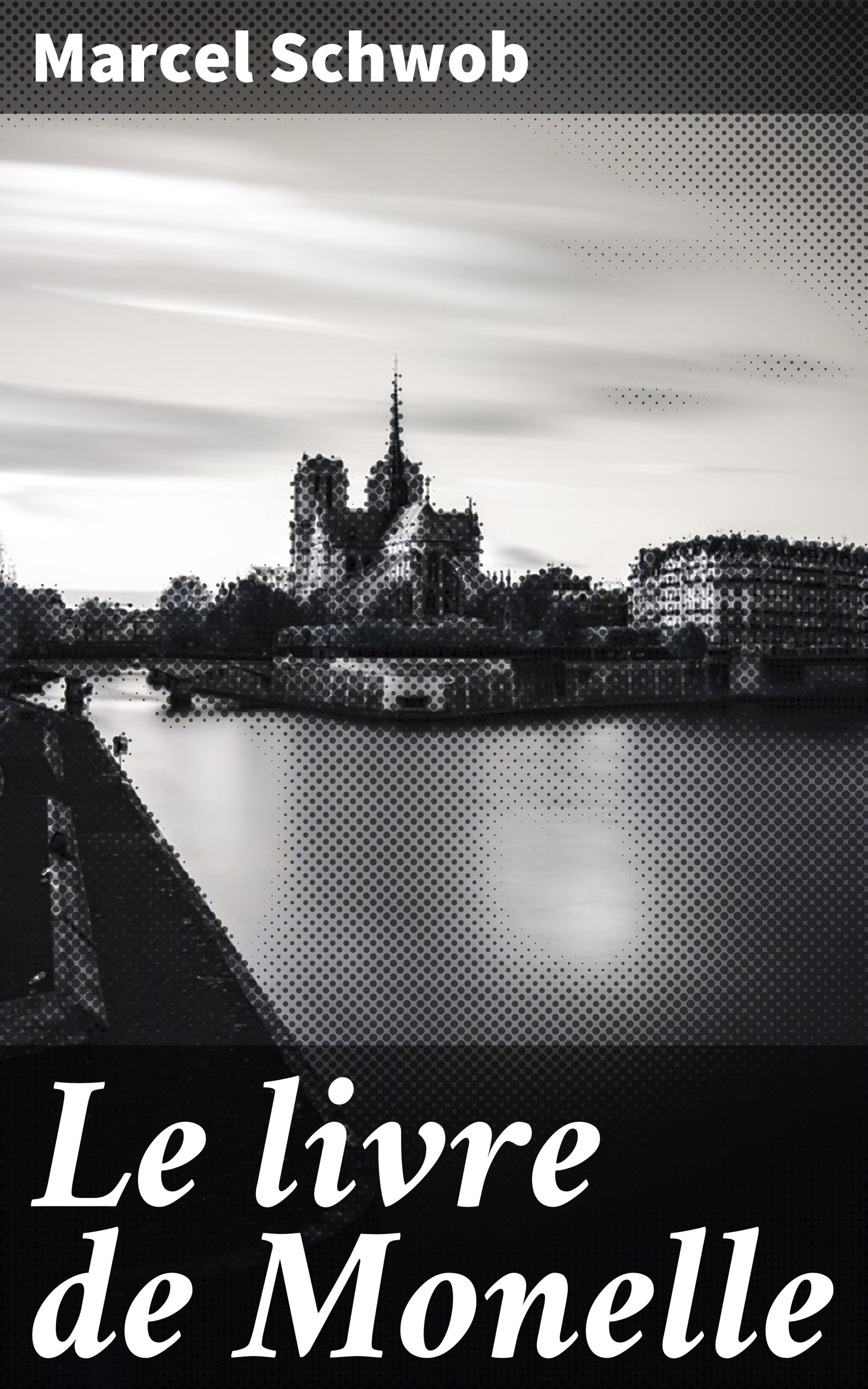 Обложка книги «Le livre de Monelle»