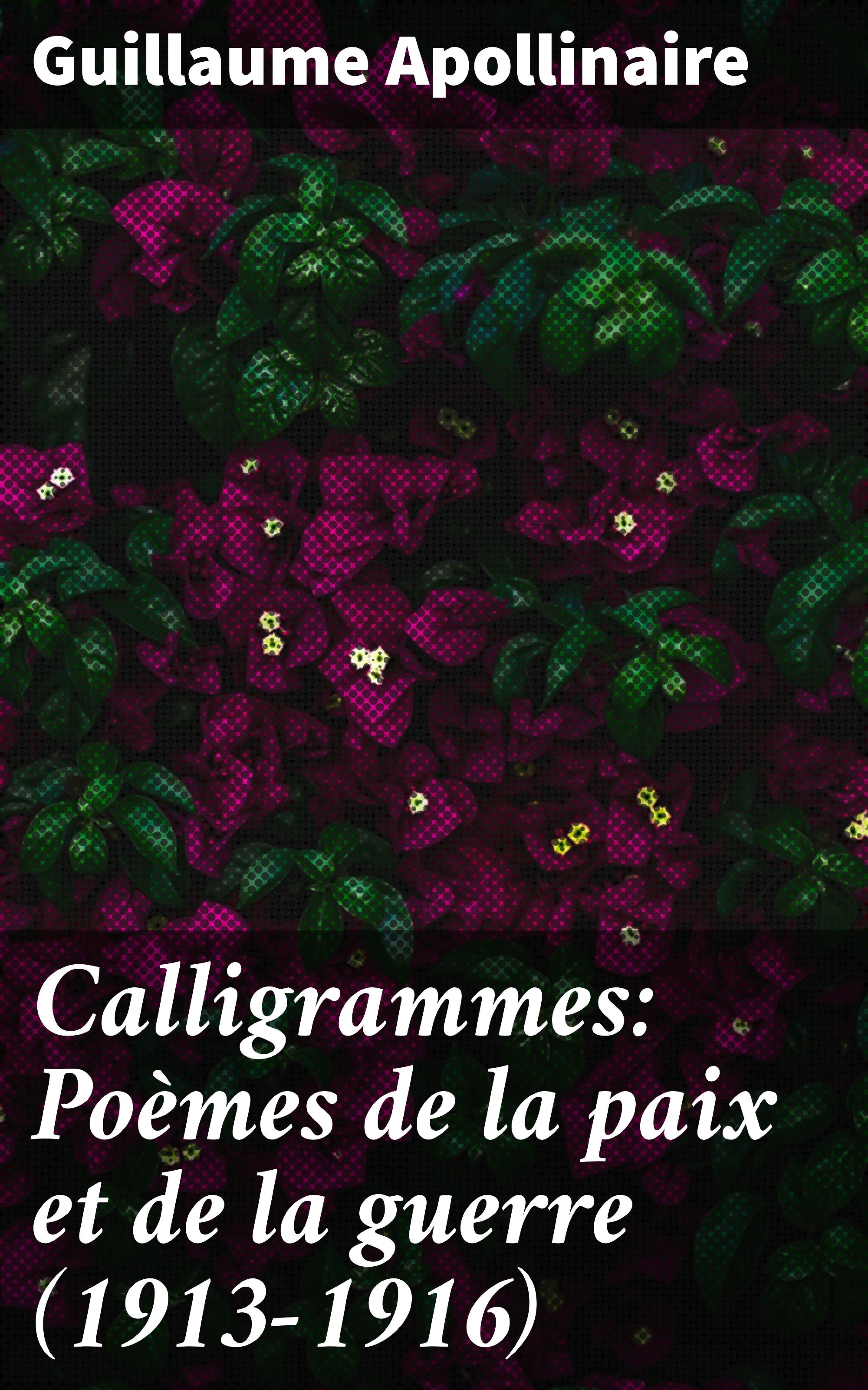Обложка книги «Calligrammes: Poèmes de la paix et de la guerre (1913-1916)»