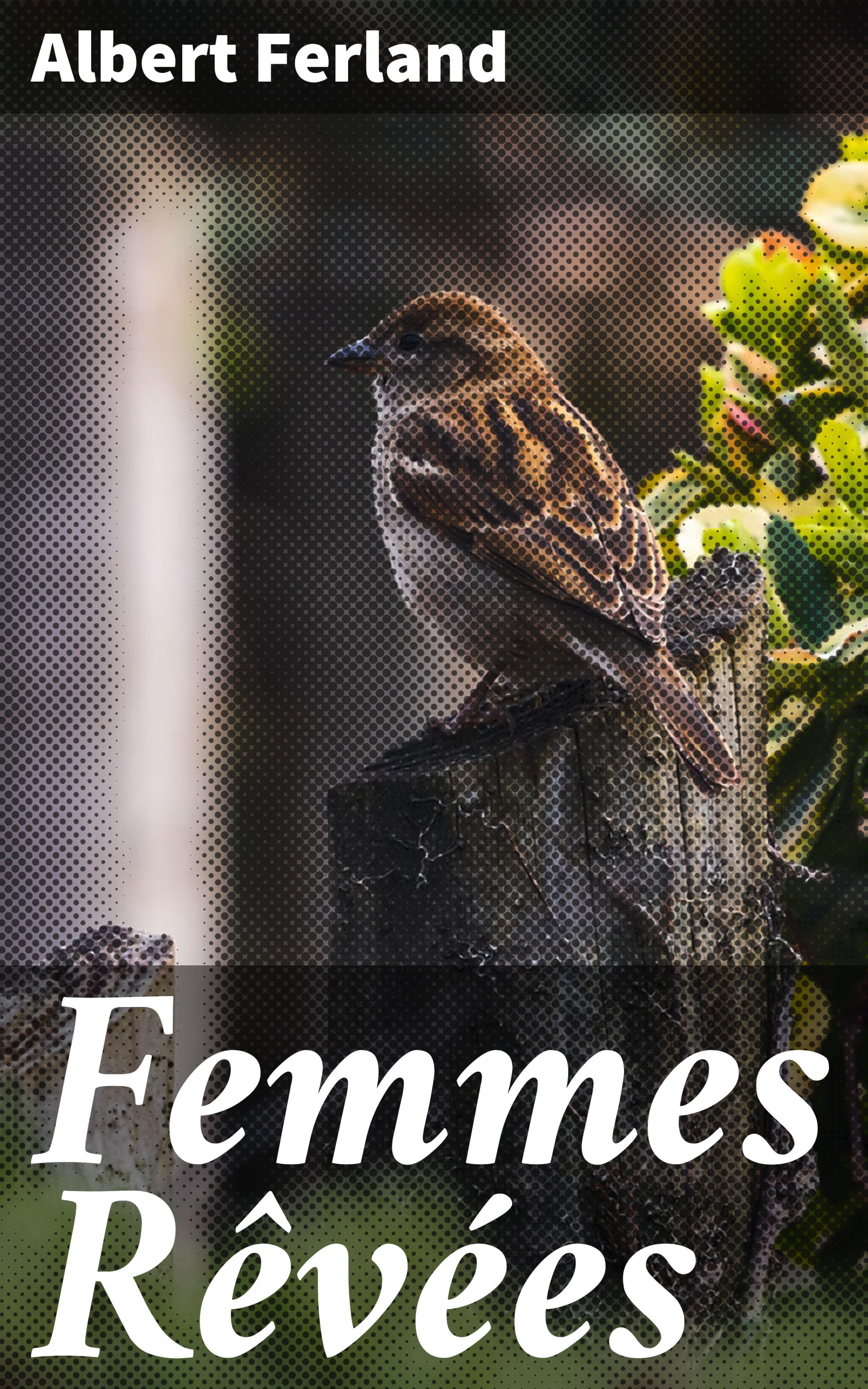 Обложка книги «Femmes Rêvées»