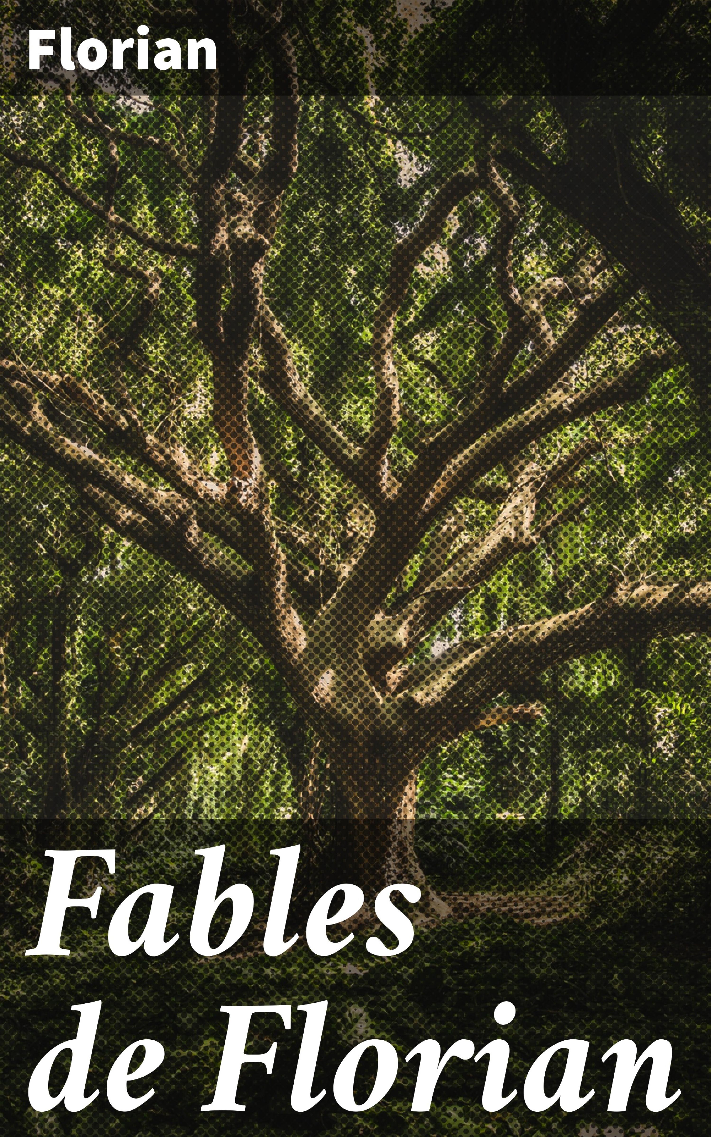 Обложка книги «Fables de Florian»