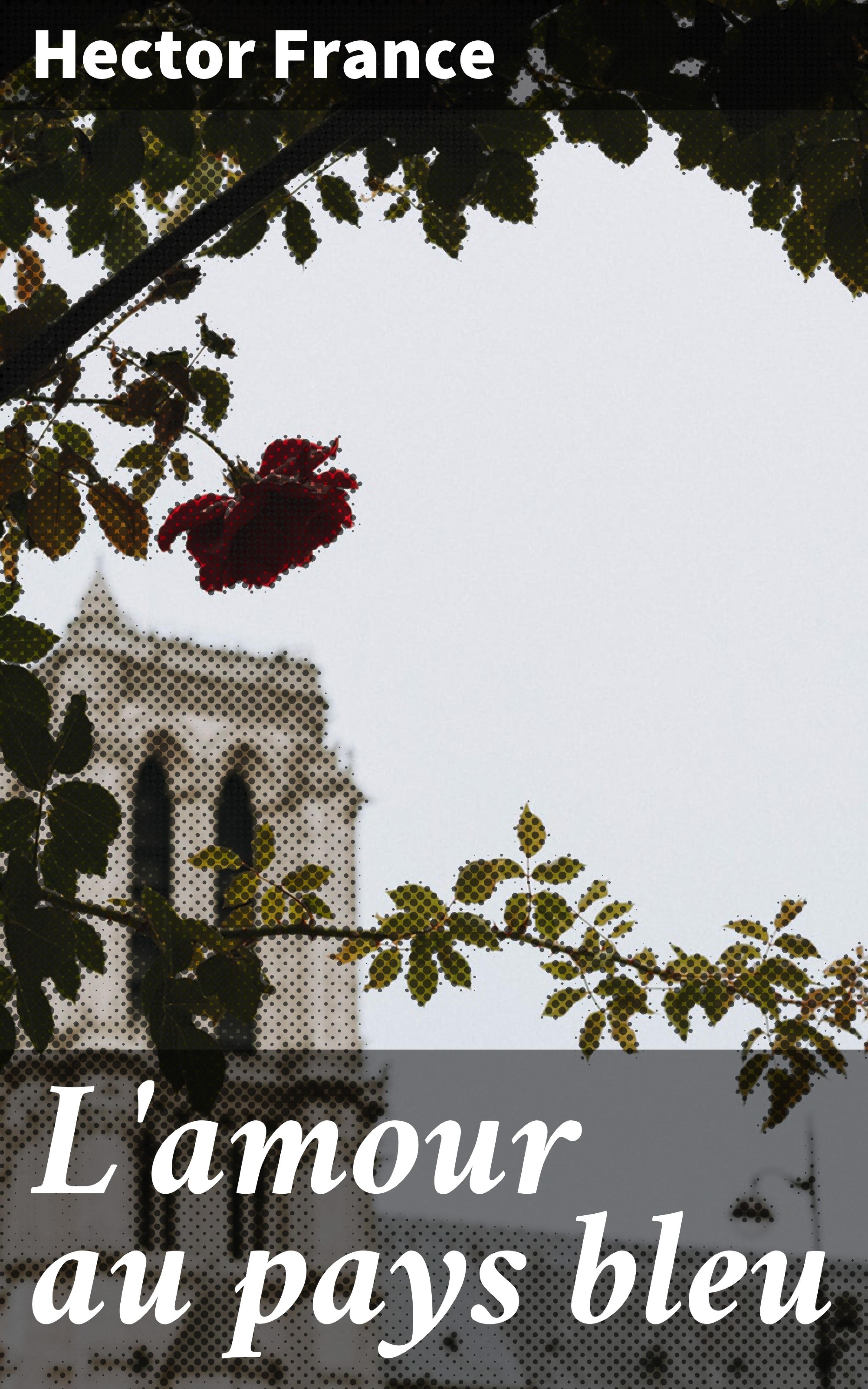 Обложка книги «L'amour au pays bleu»