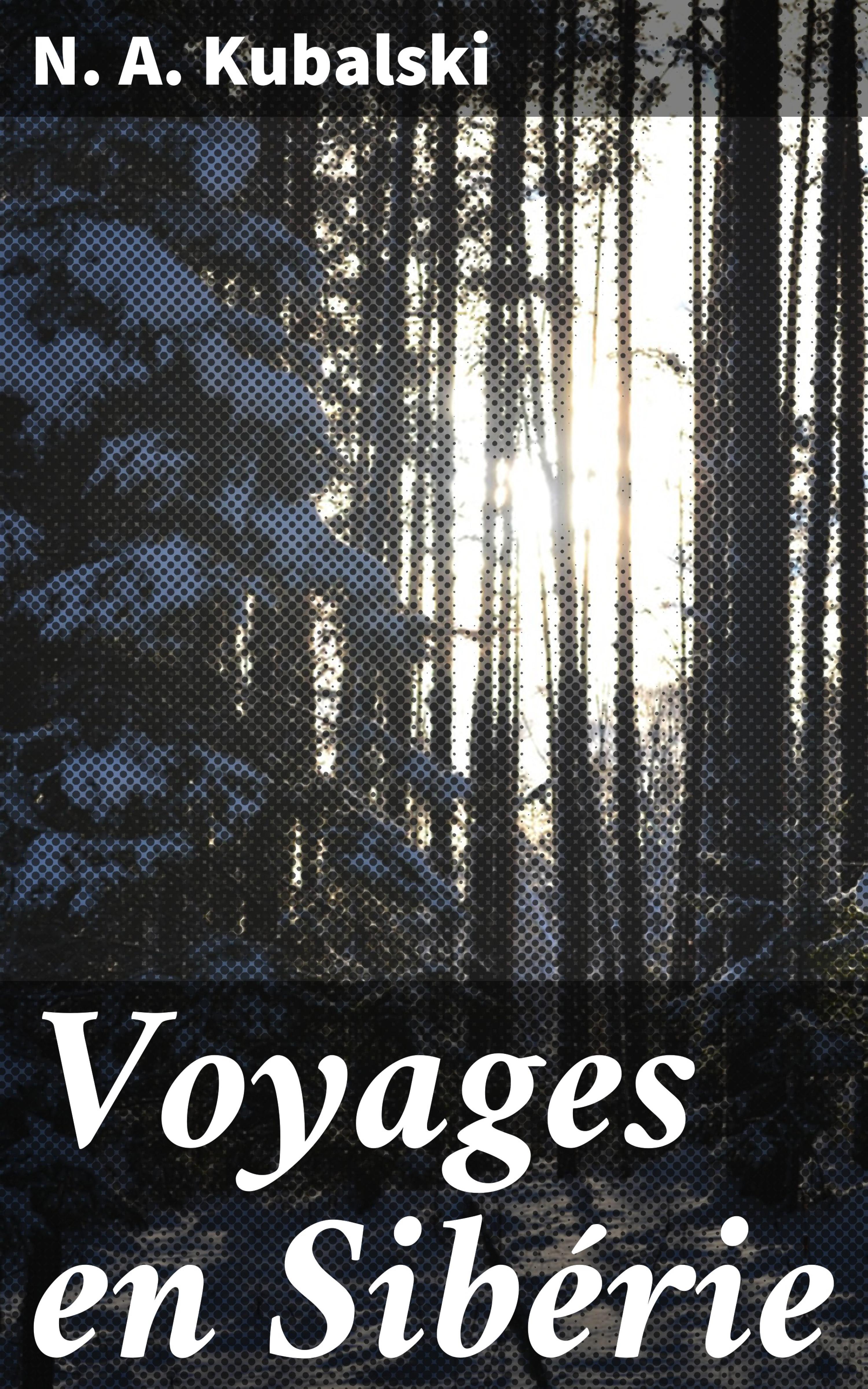 Обложка книги «Voyages en Sibérie»
