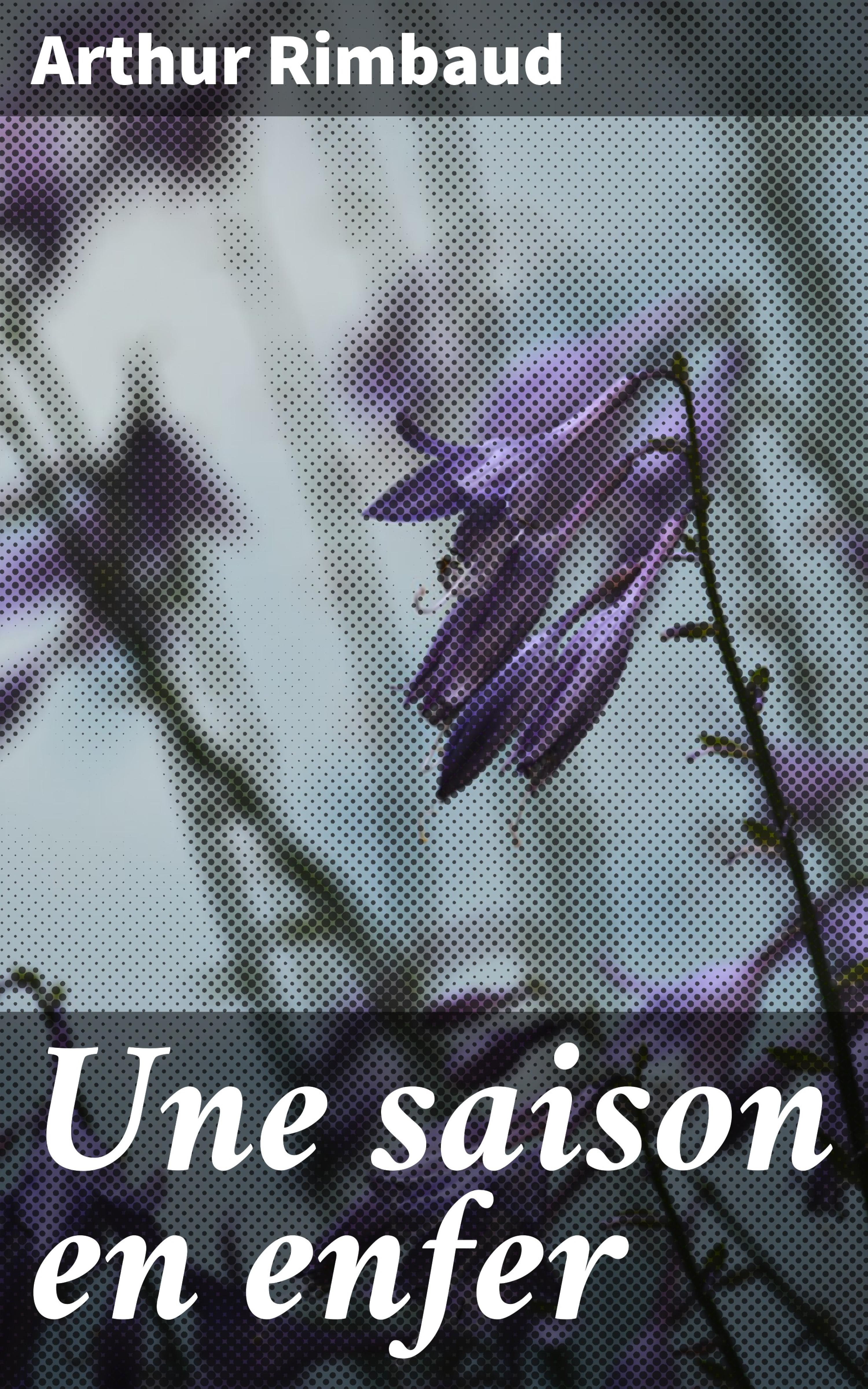 Обложка книги «Une saison en enfer»