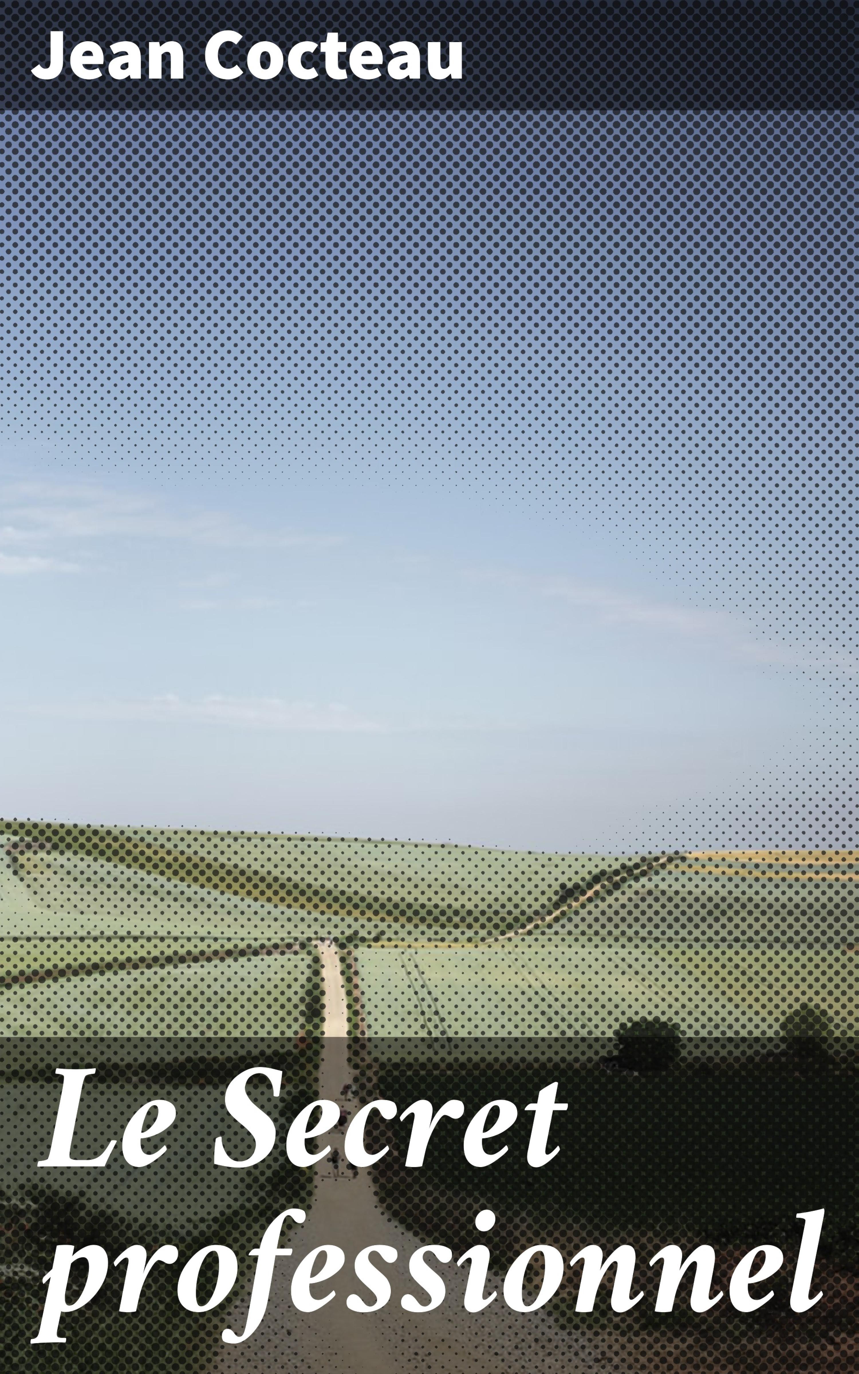 Обложка книги «Le Secret professionnel»