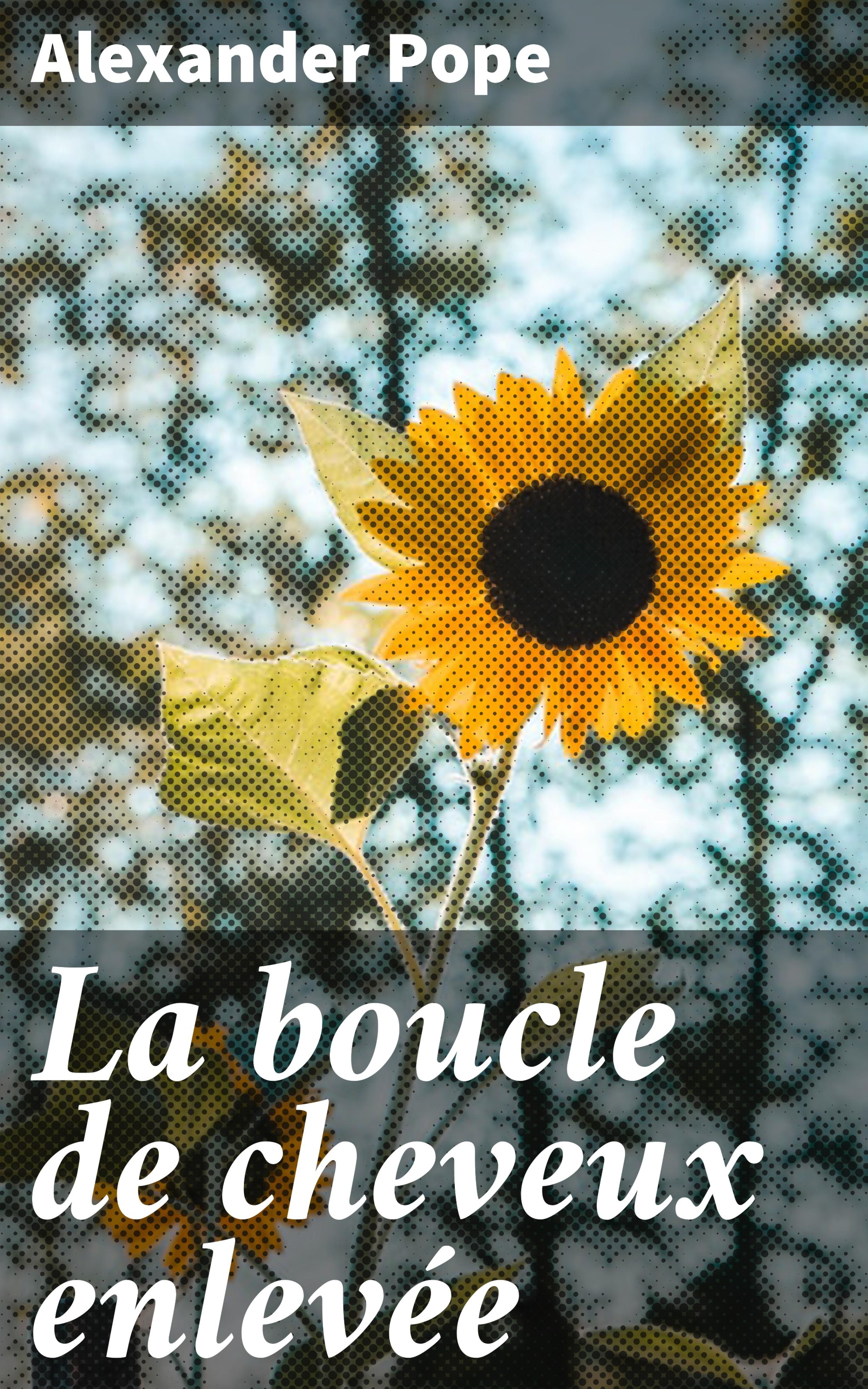 Обложка книги «La boucle de cheveux enlevée»