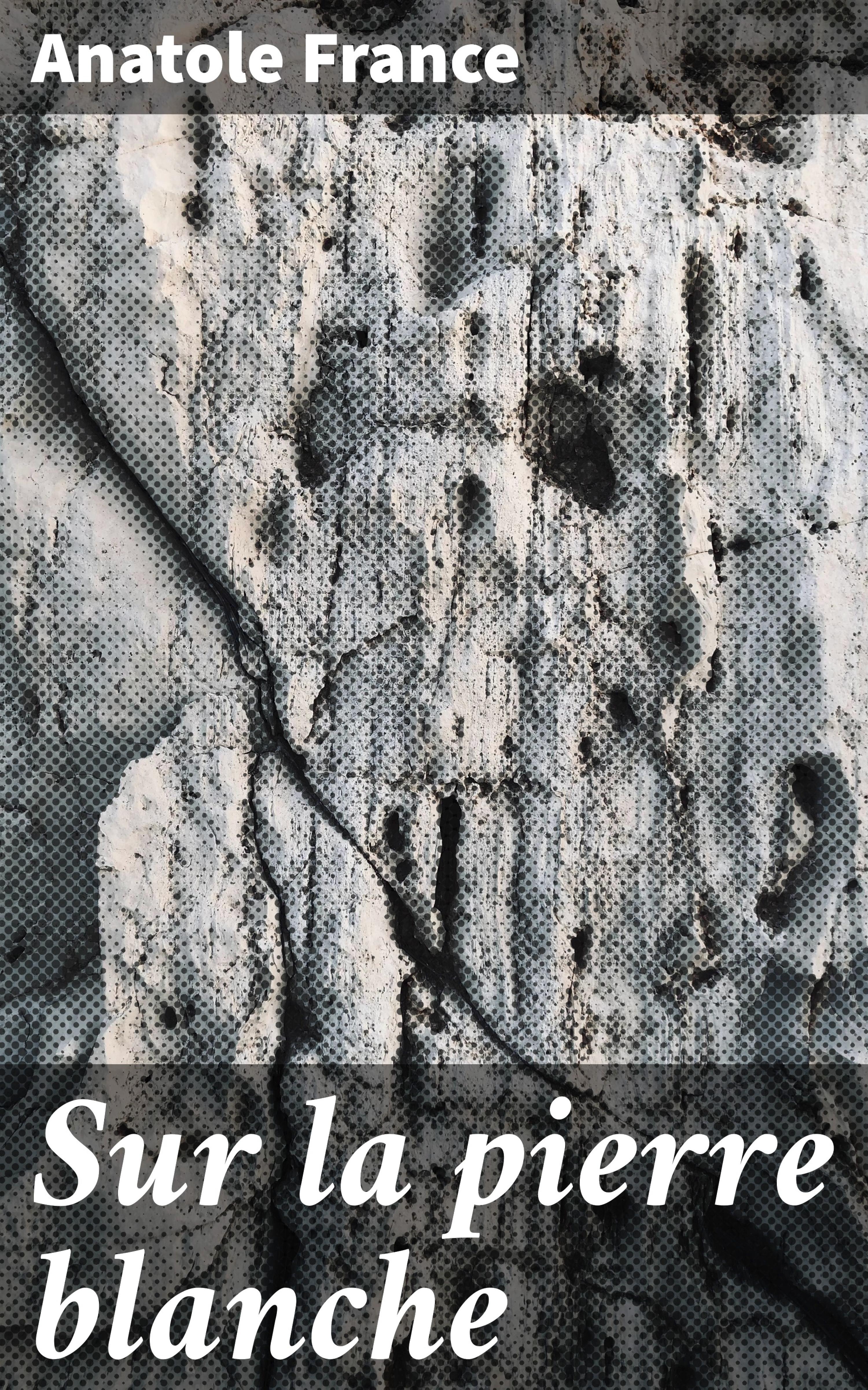 Обложка книги «Sur la pierre blanche»