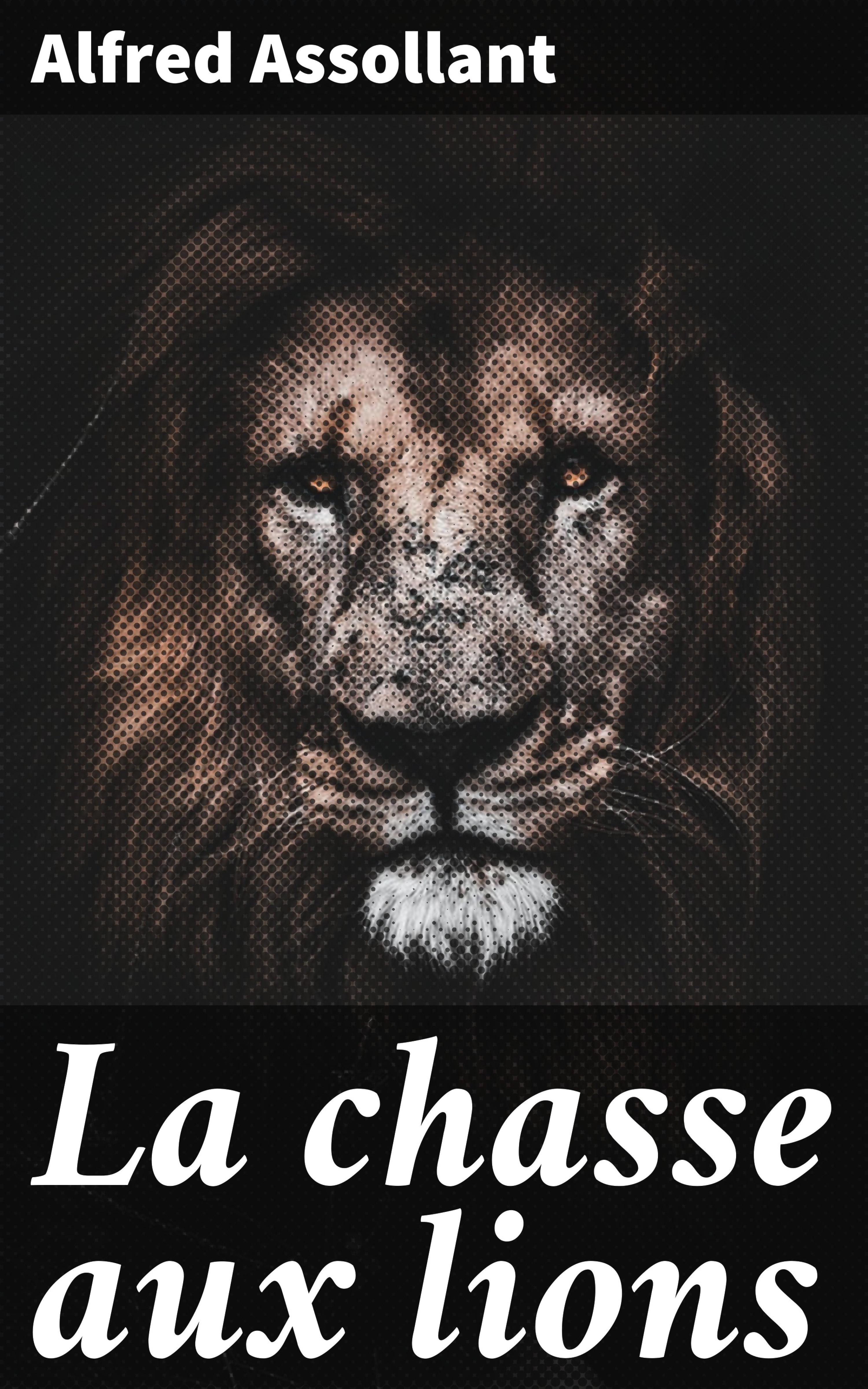 Обложка книги «La chasse aux lions»