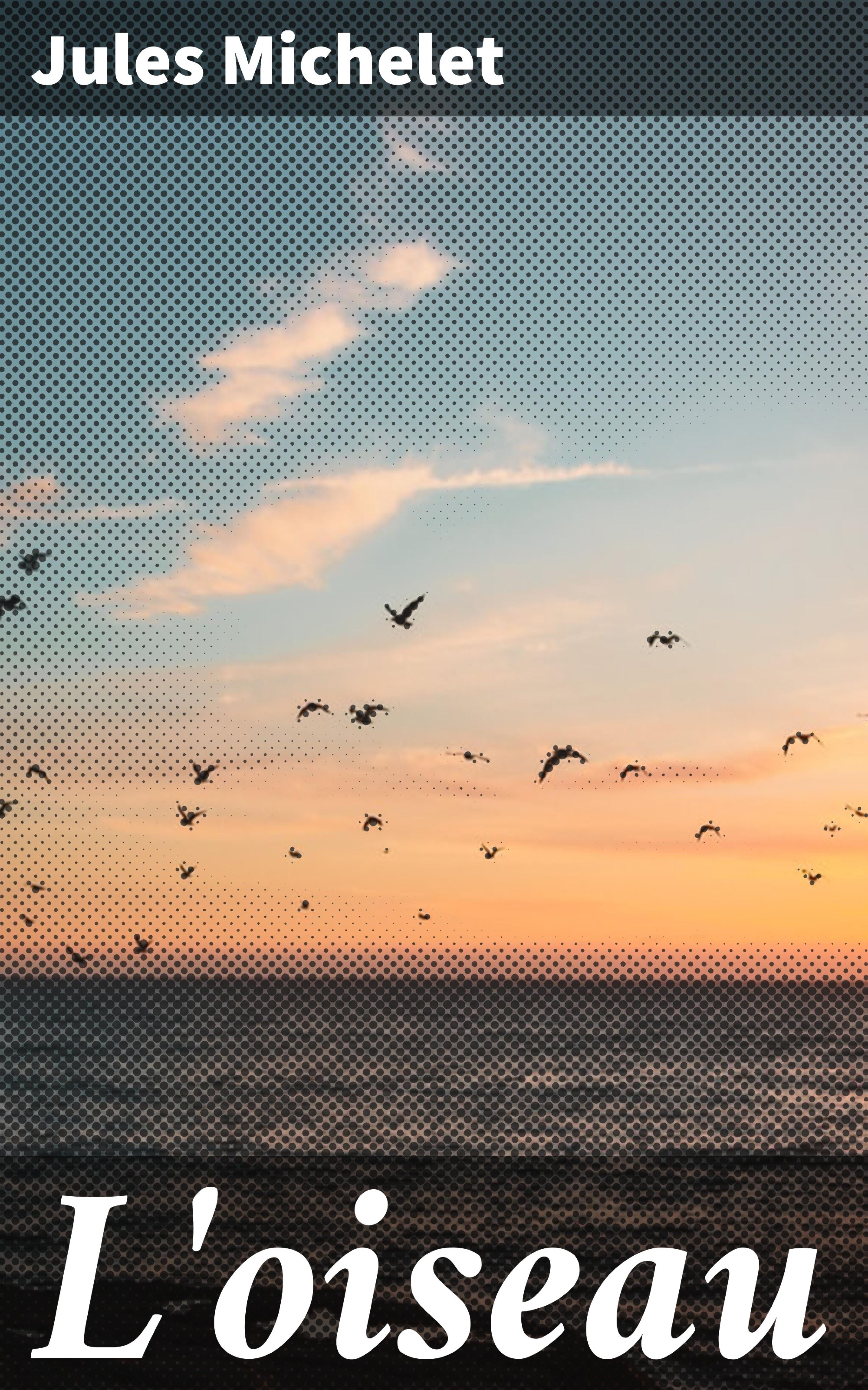 Обложка книги «L'oiseau»