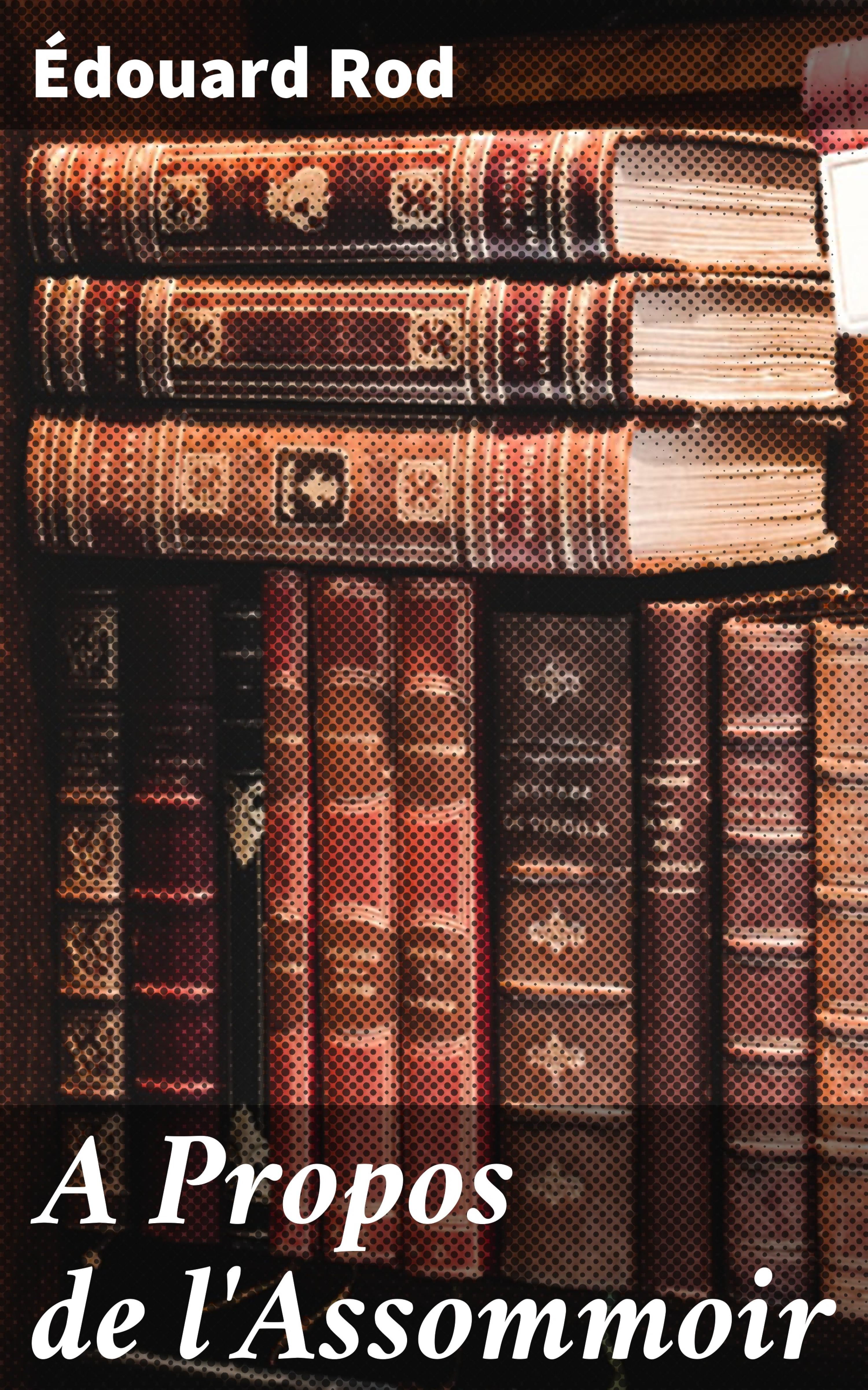 Обложка книги «A Propos de l'Assommoir»
