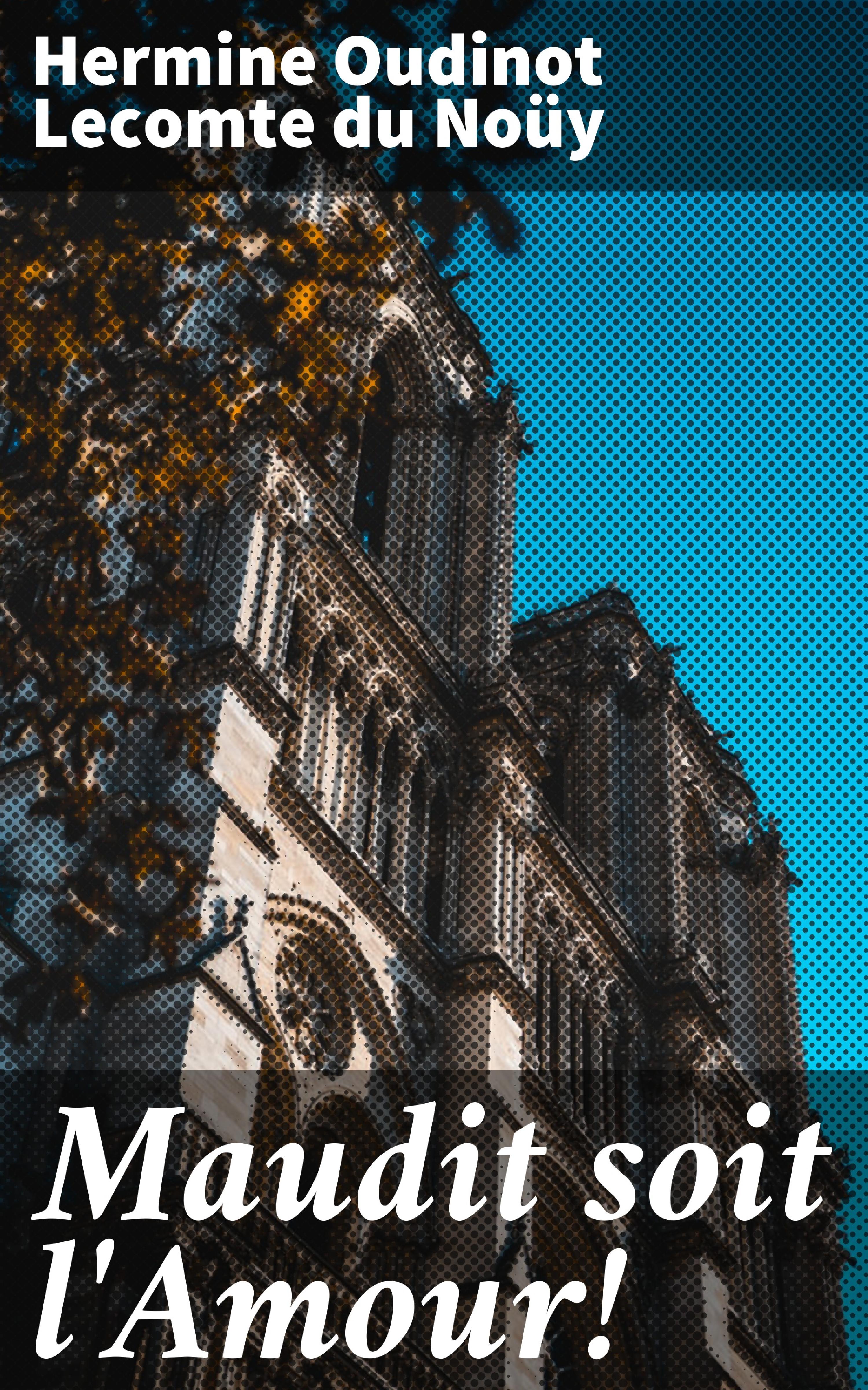Обложка книги «Maudit soit l'Amour!»