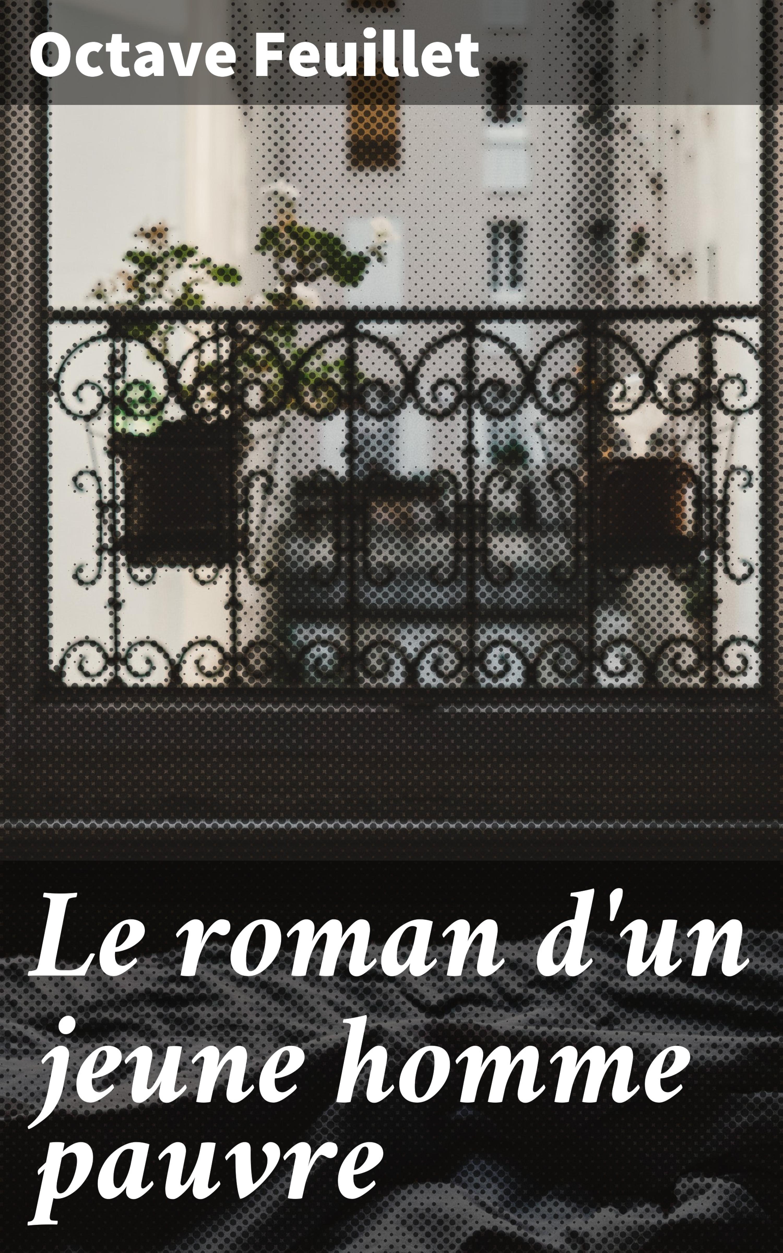 Обложка книги «Le roman d'un jeune homme pauvre»