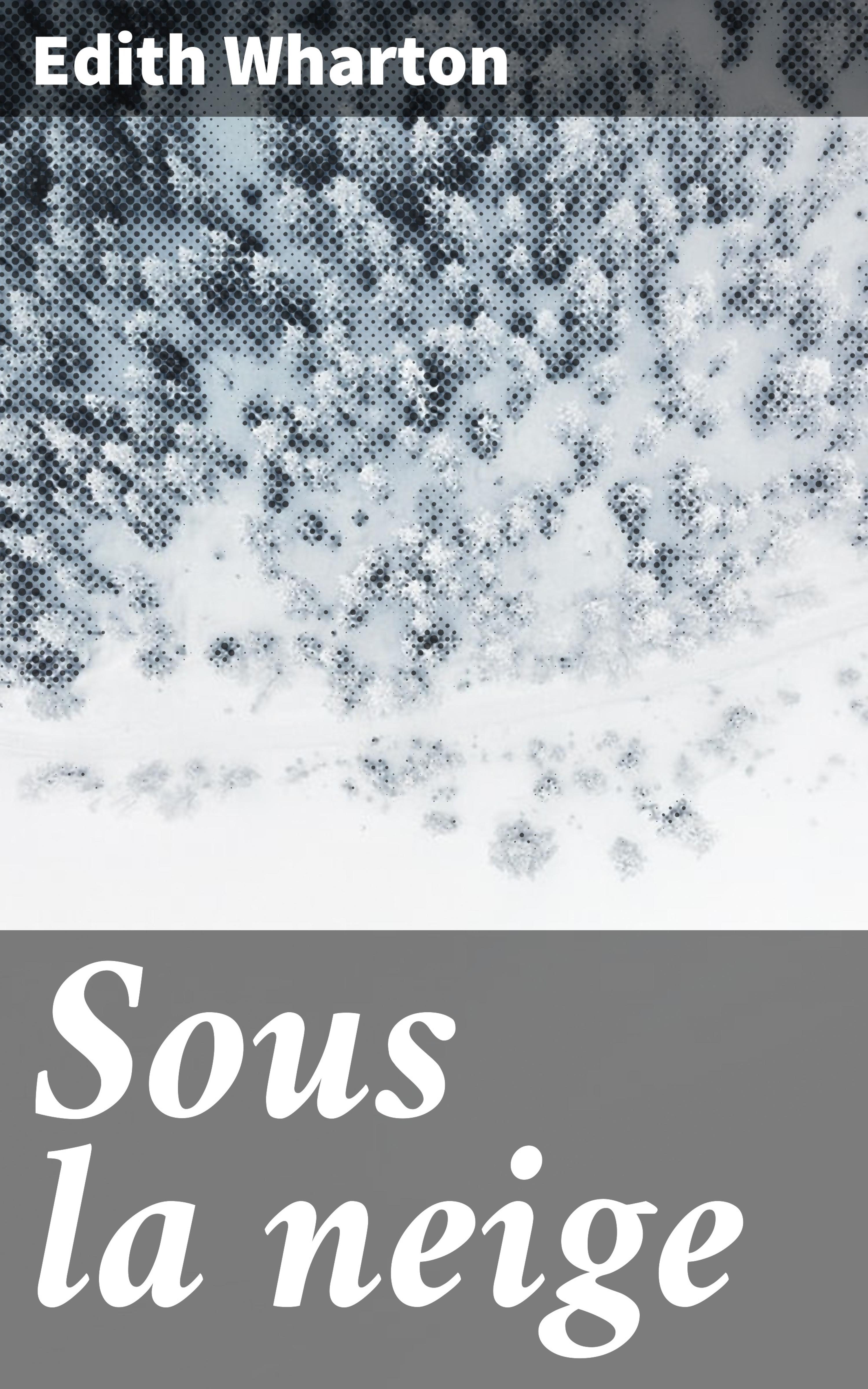 Обложка книги «Sous la neige»