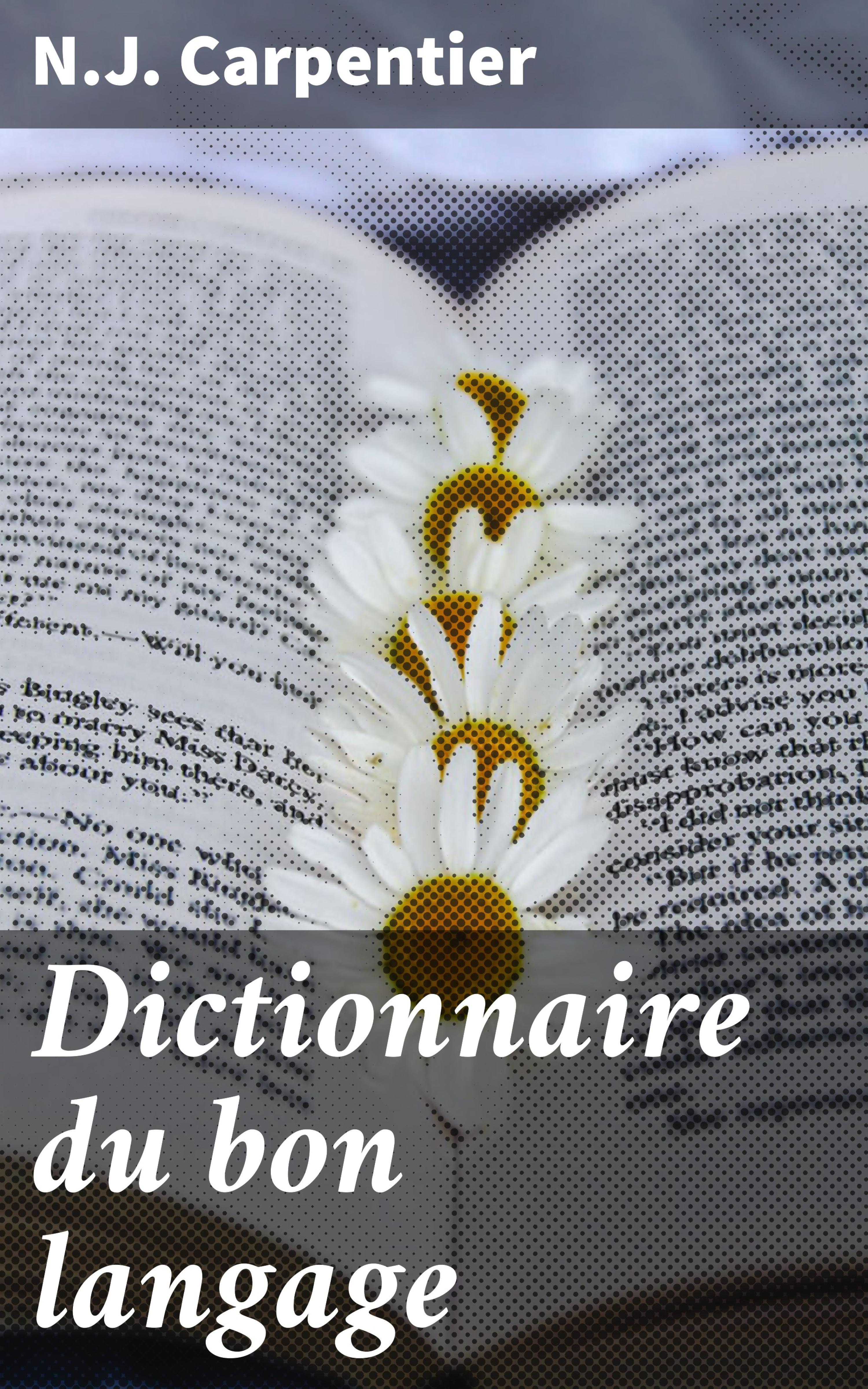 Обложка книги «Dictionnaire du bon langage»