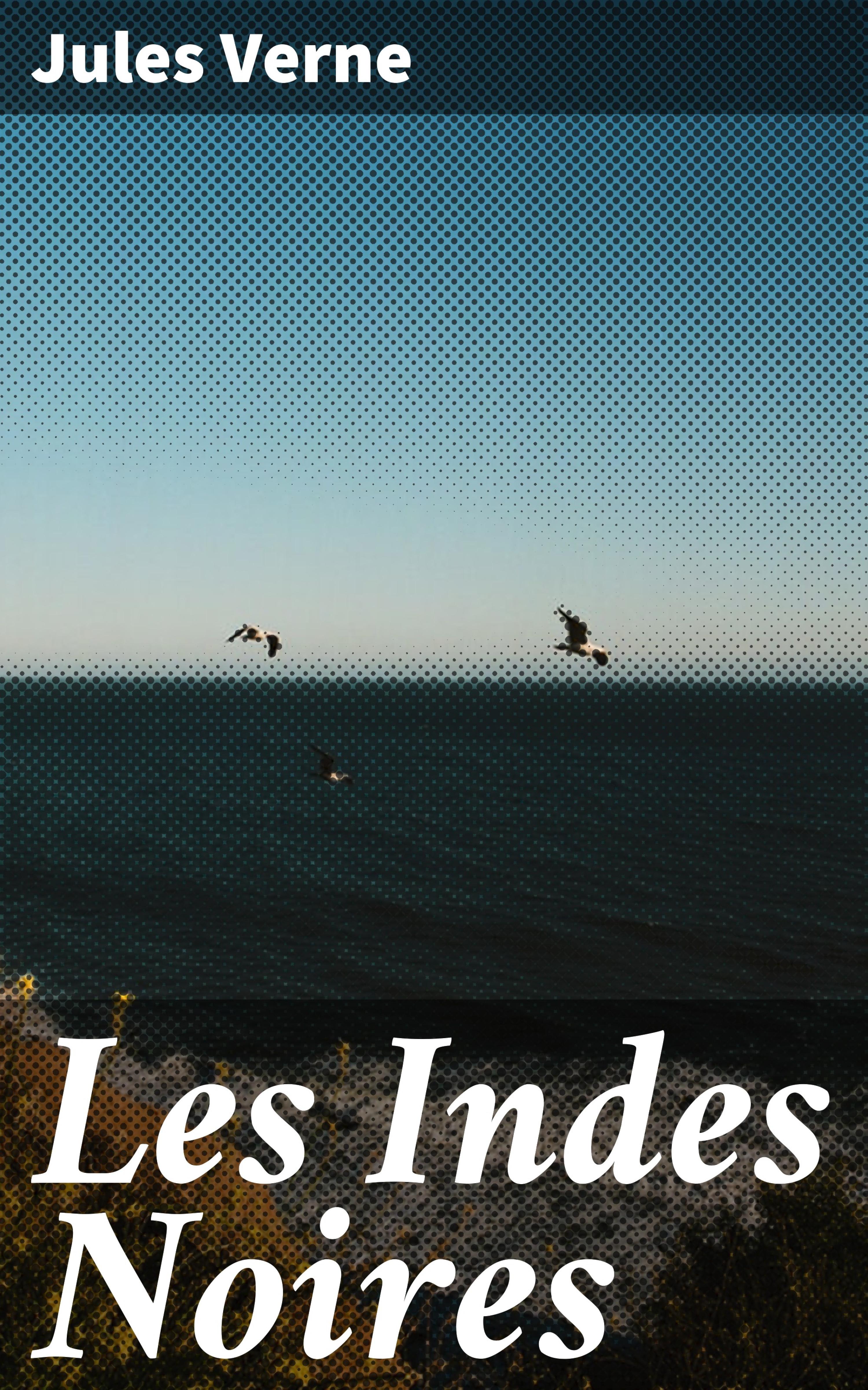 Обложка книги «Les Indes Noires»