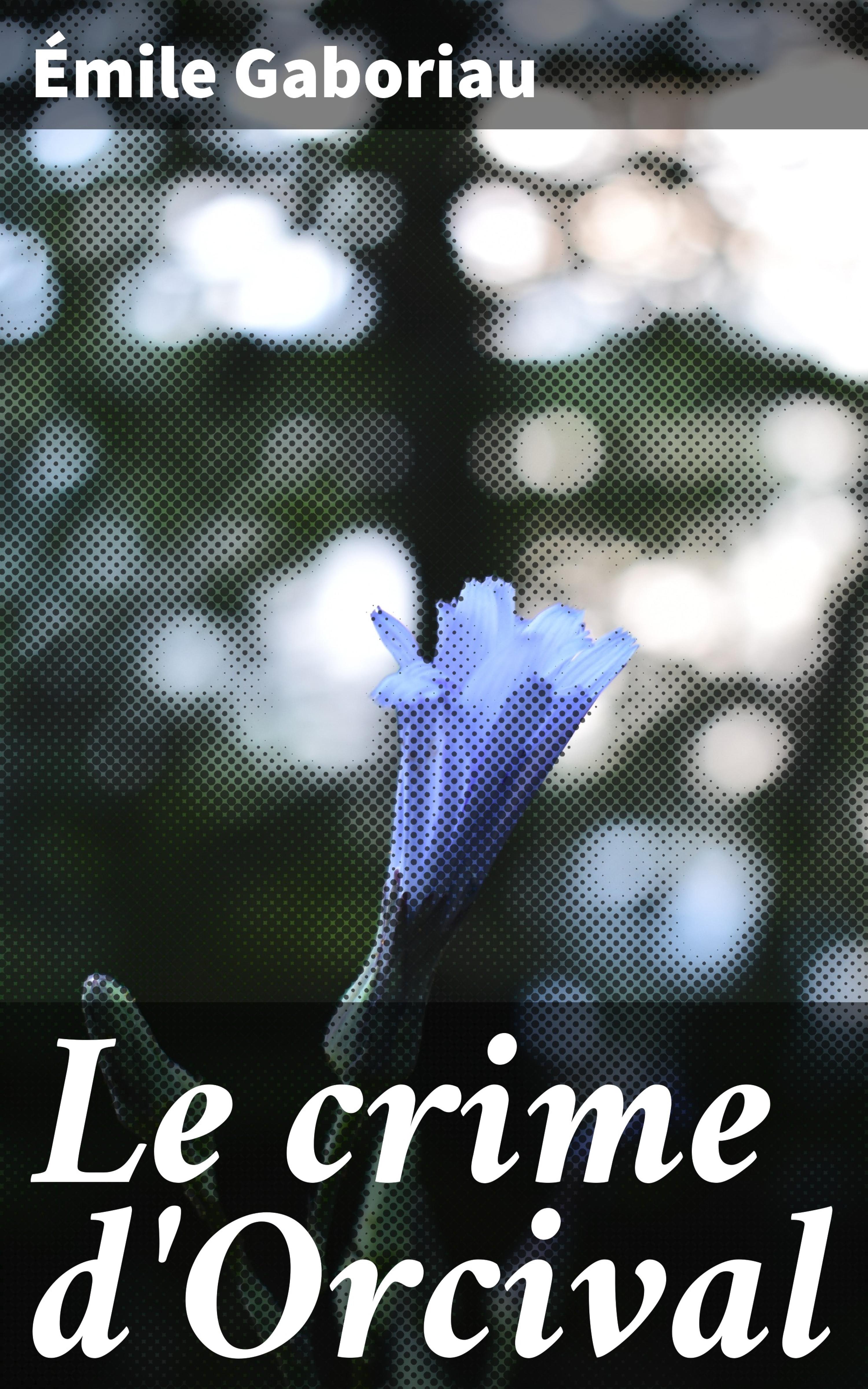 Обложка книги «Le crime d'Orcival»
