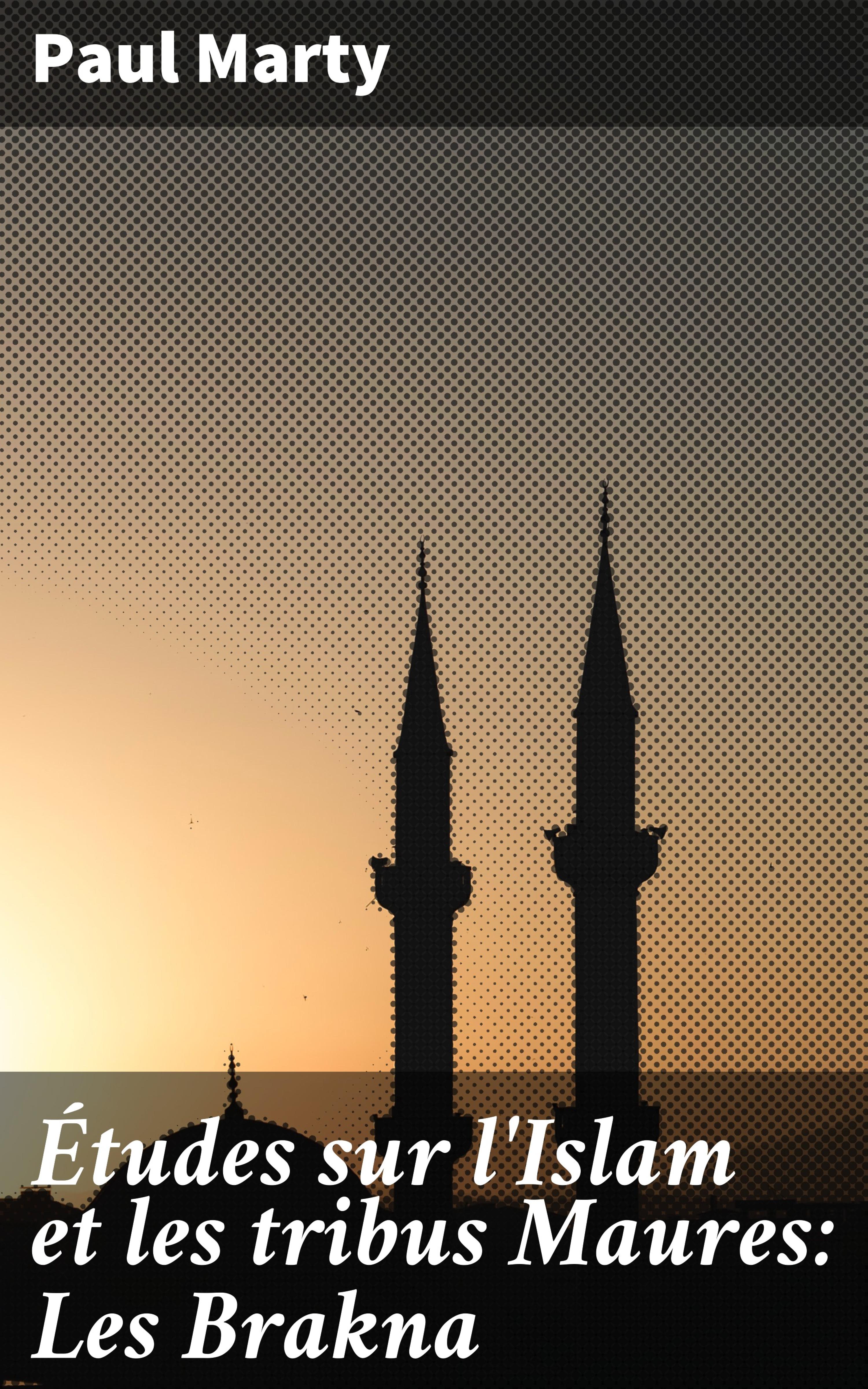 Обложка книги «Études sur l'Islam et les tribus Maures: Les Brakna»