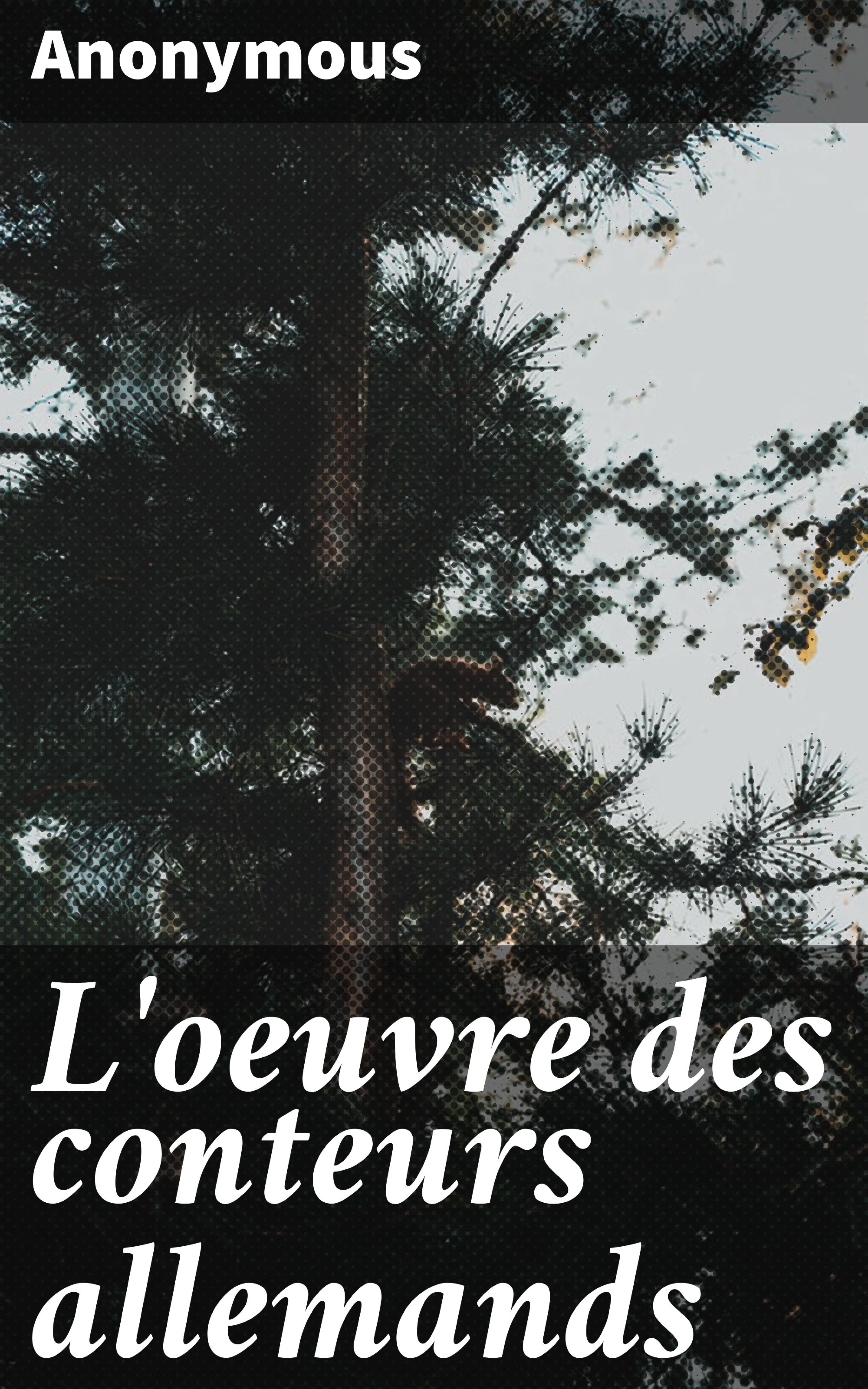 Обложка книги «L'oeuvre des conteurs allemands»