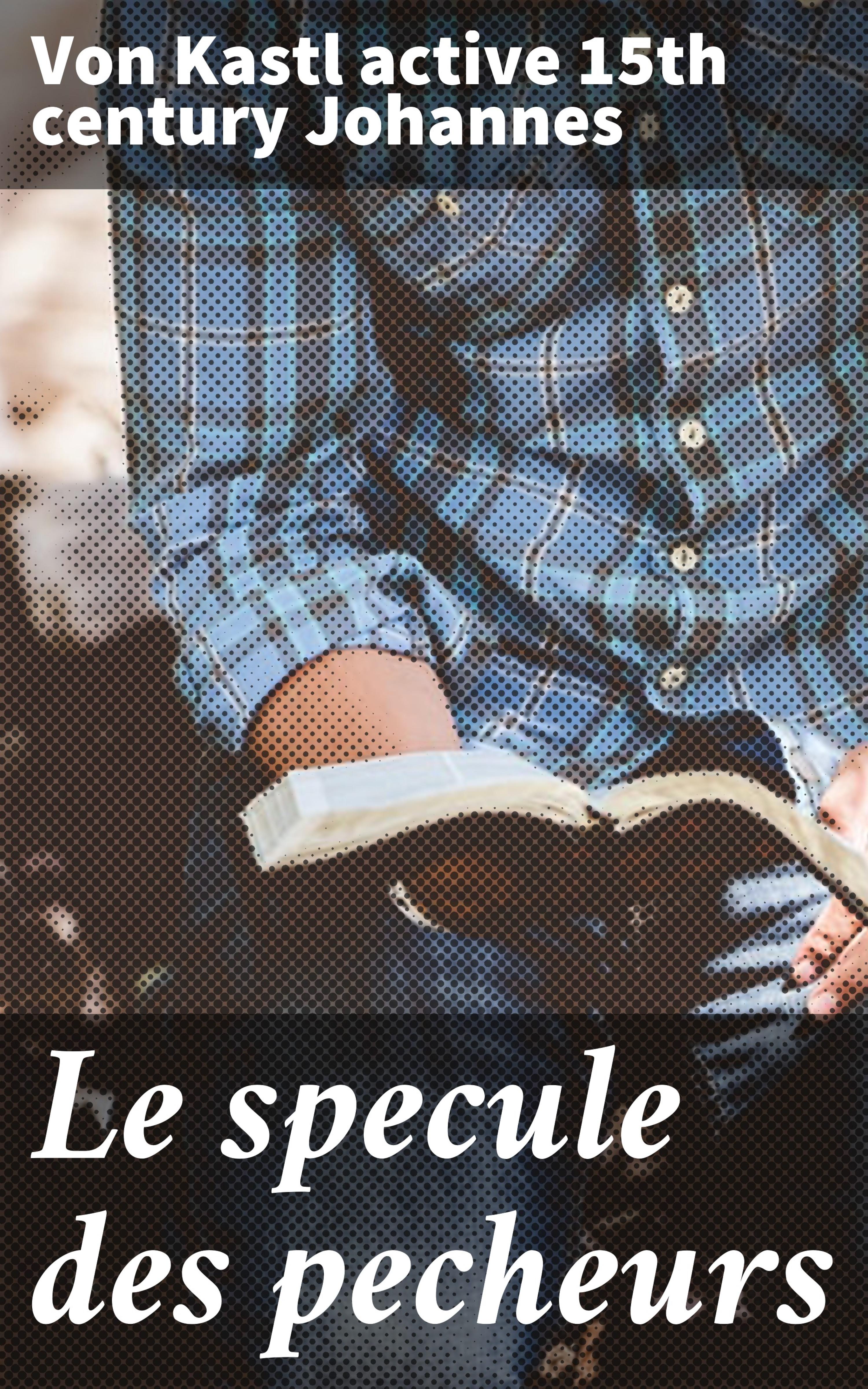 Обложка книги «Le specule des pecheurs»