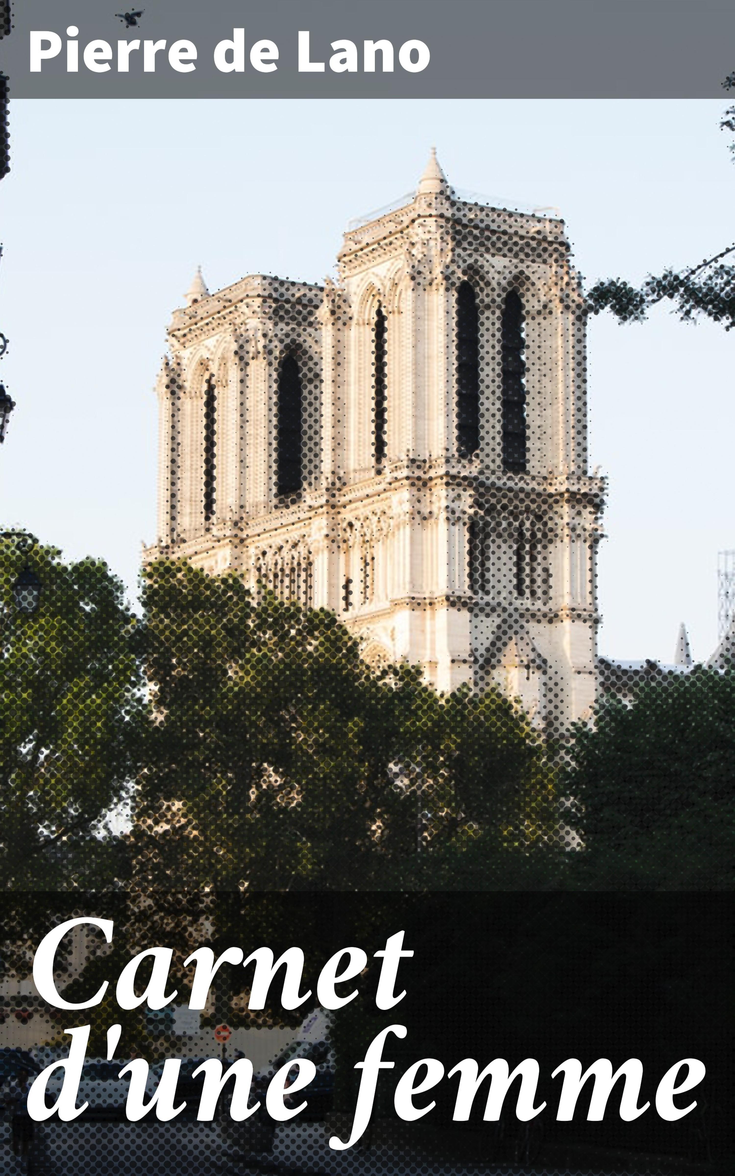 Обложка книги «Carnet d'une femme»