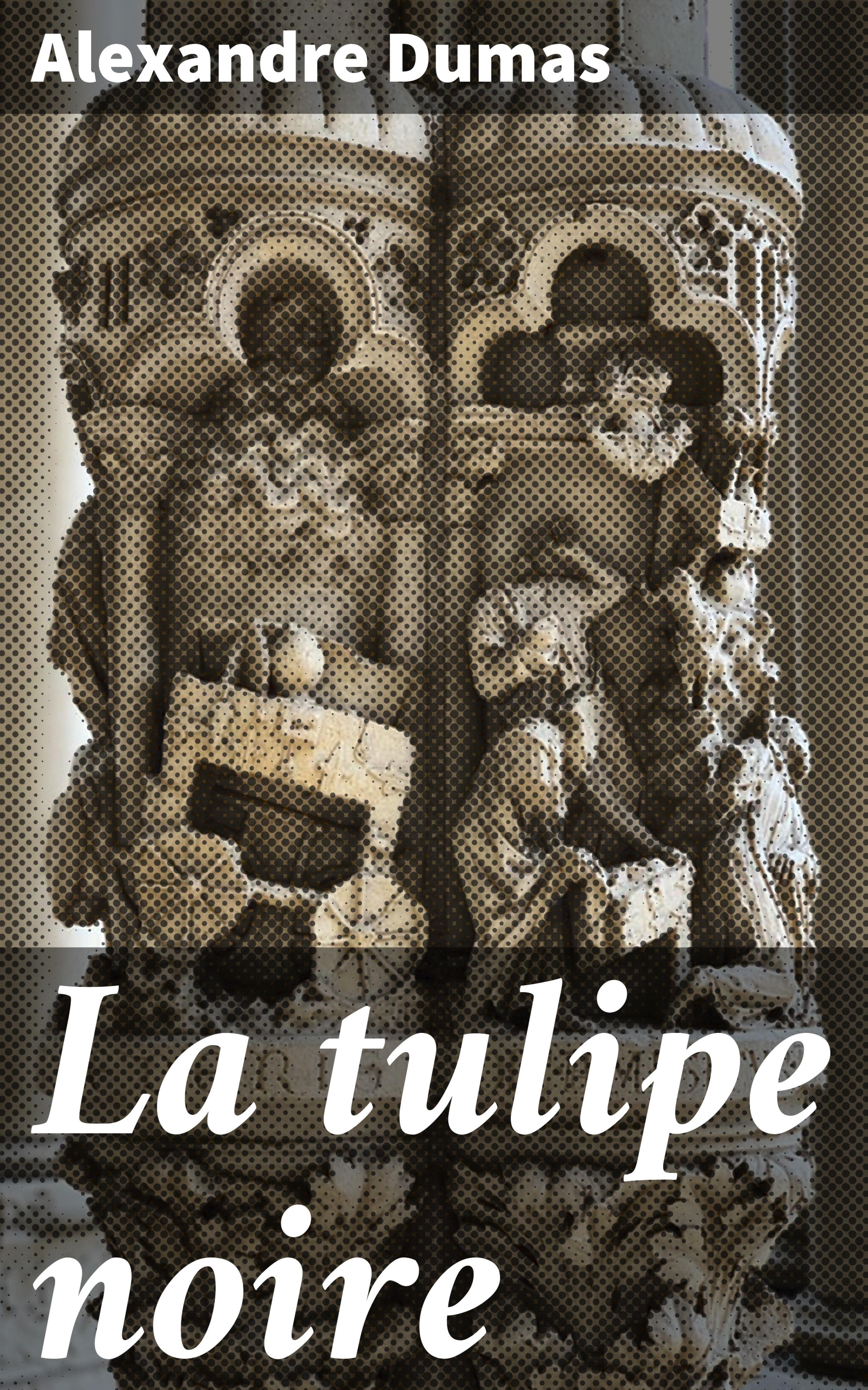 Обложка книги «La tulipe noire»