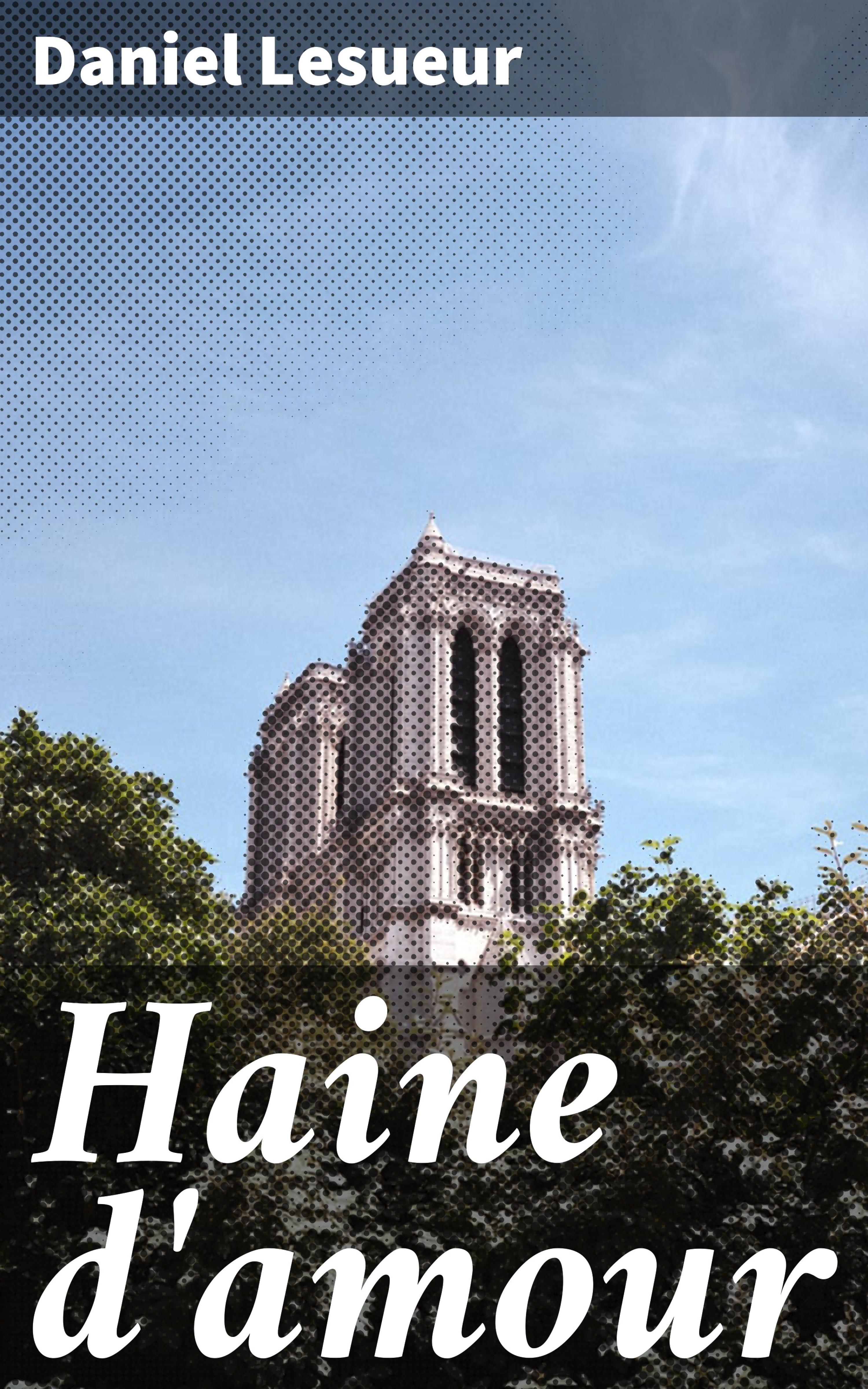Обложка книги «Haine d'amour»