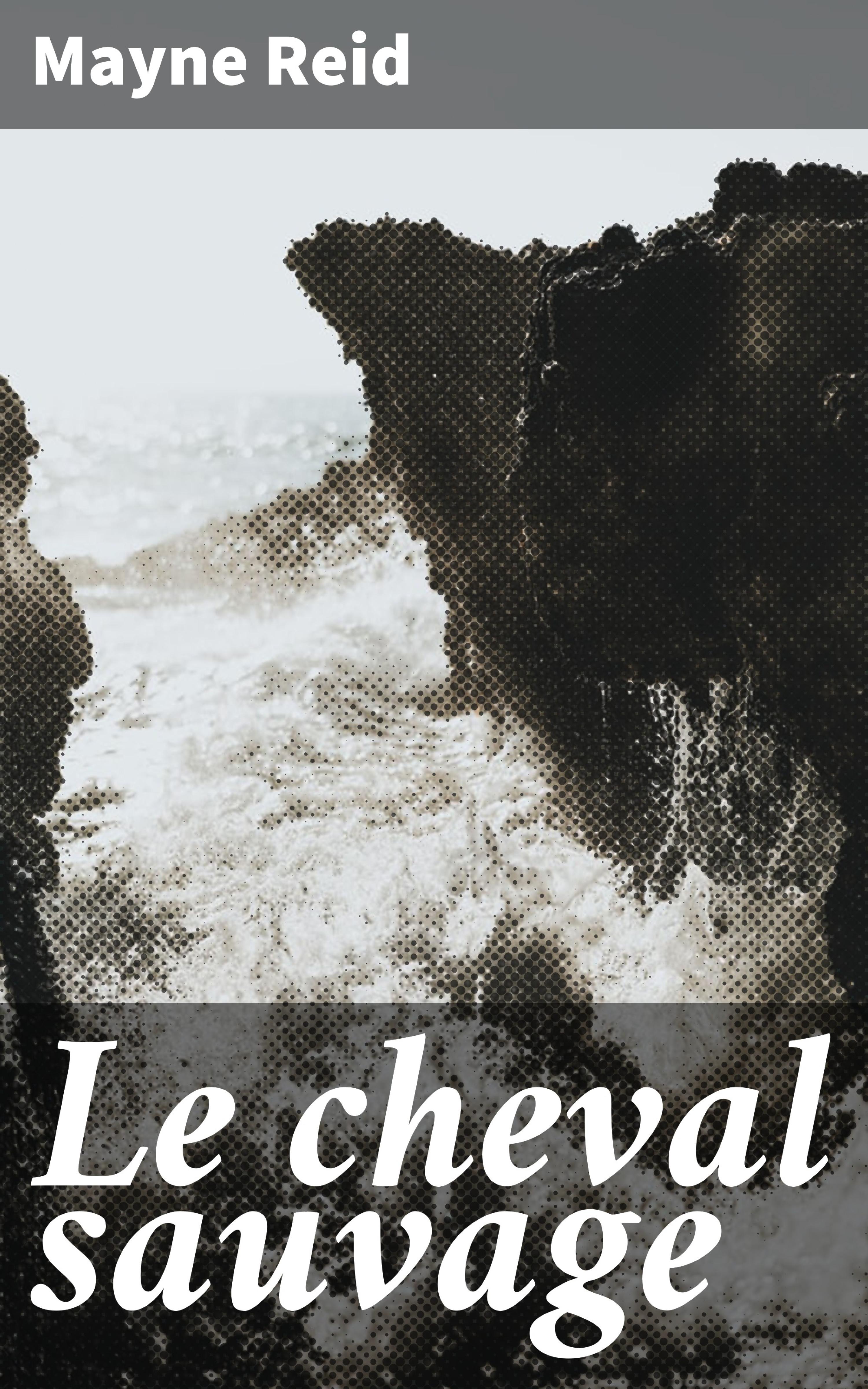 Обложка книги «Le cheval sauvage»