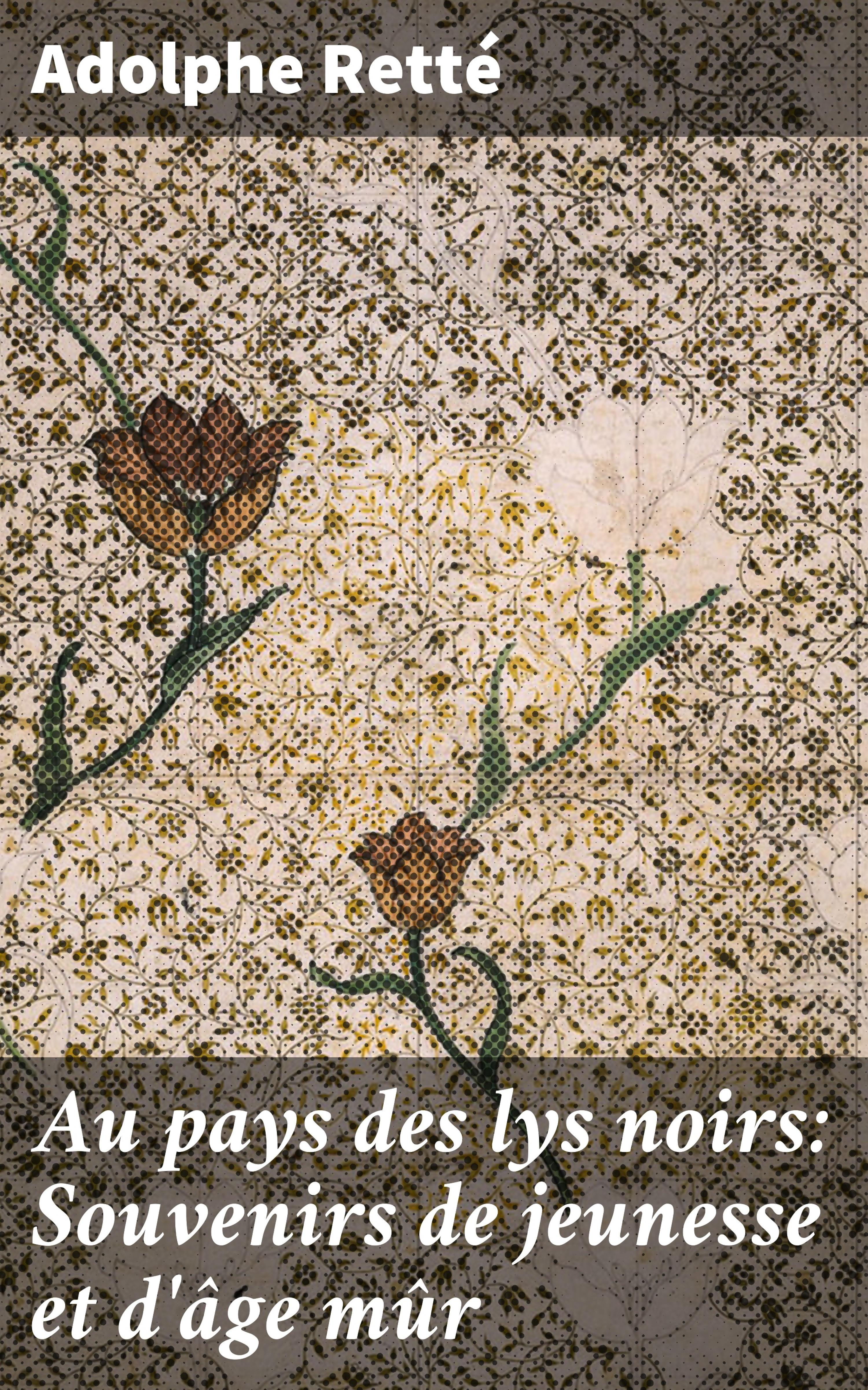 Обложка книги «Au pays des lys noirs: Souvenirs de jeunesse et d'âge mûr»