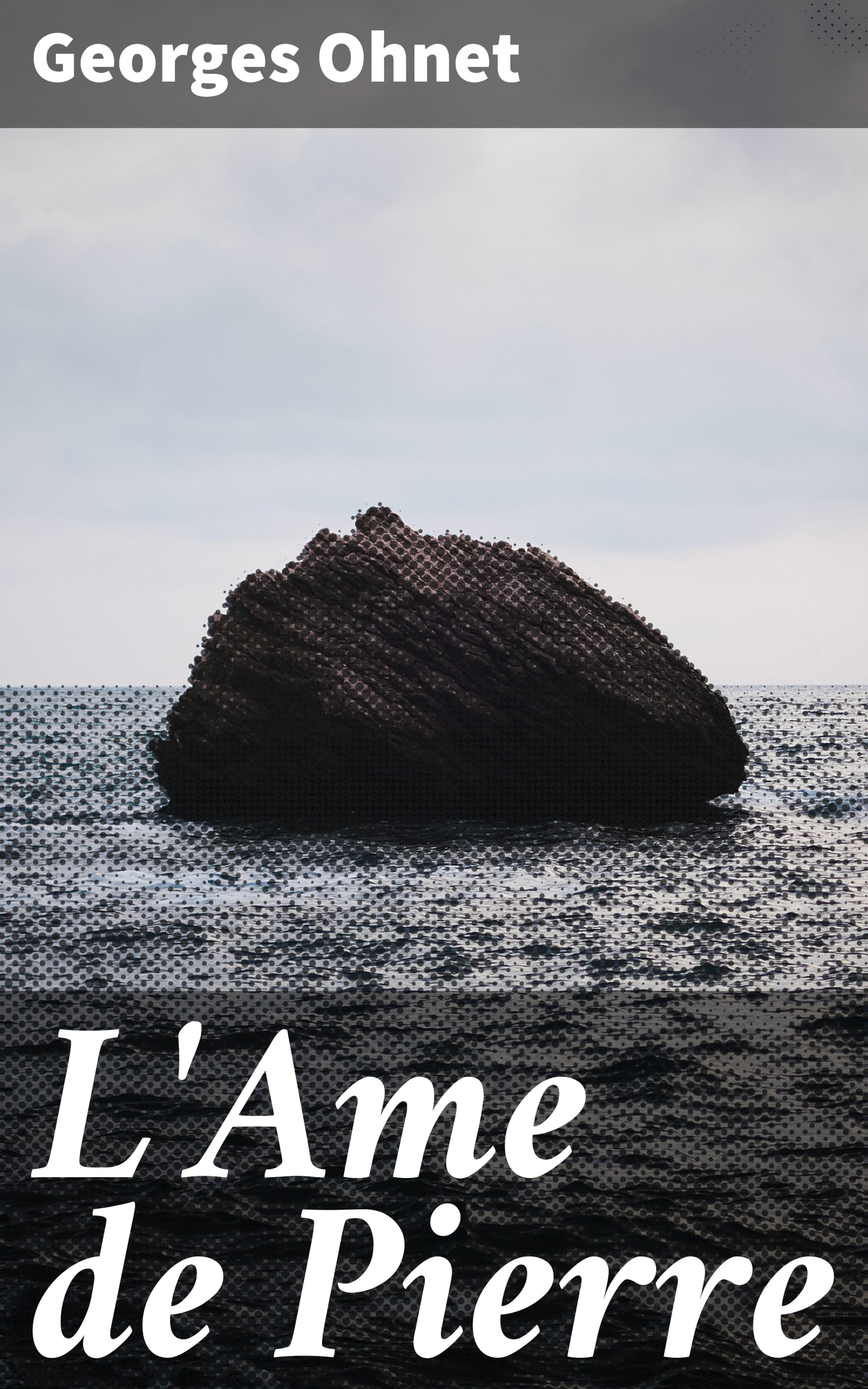 Обложка книги «L'Ame de Pierre»