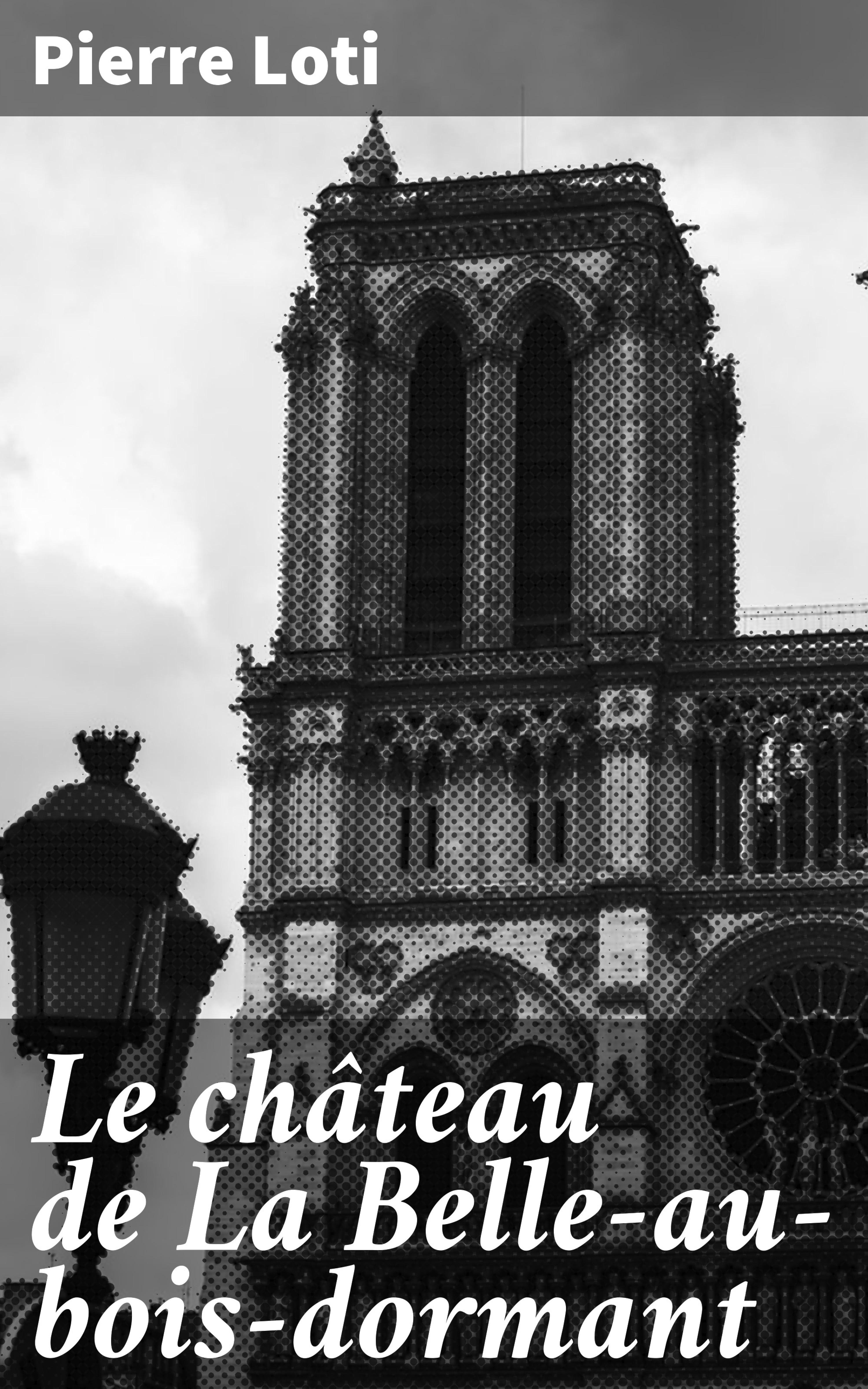 Обложка книги «Le château de La Belle-au-bois-dormant»