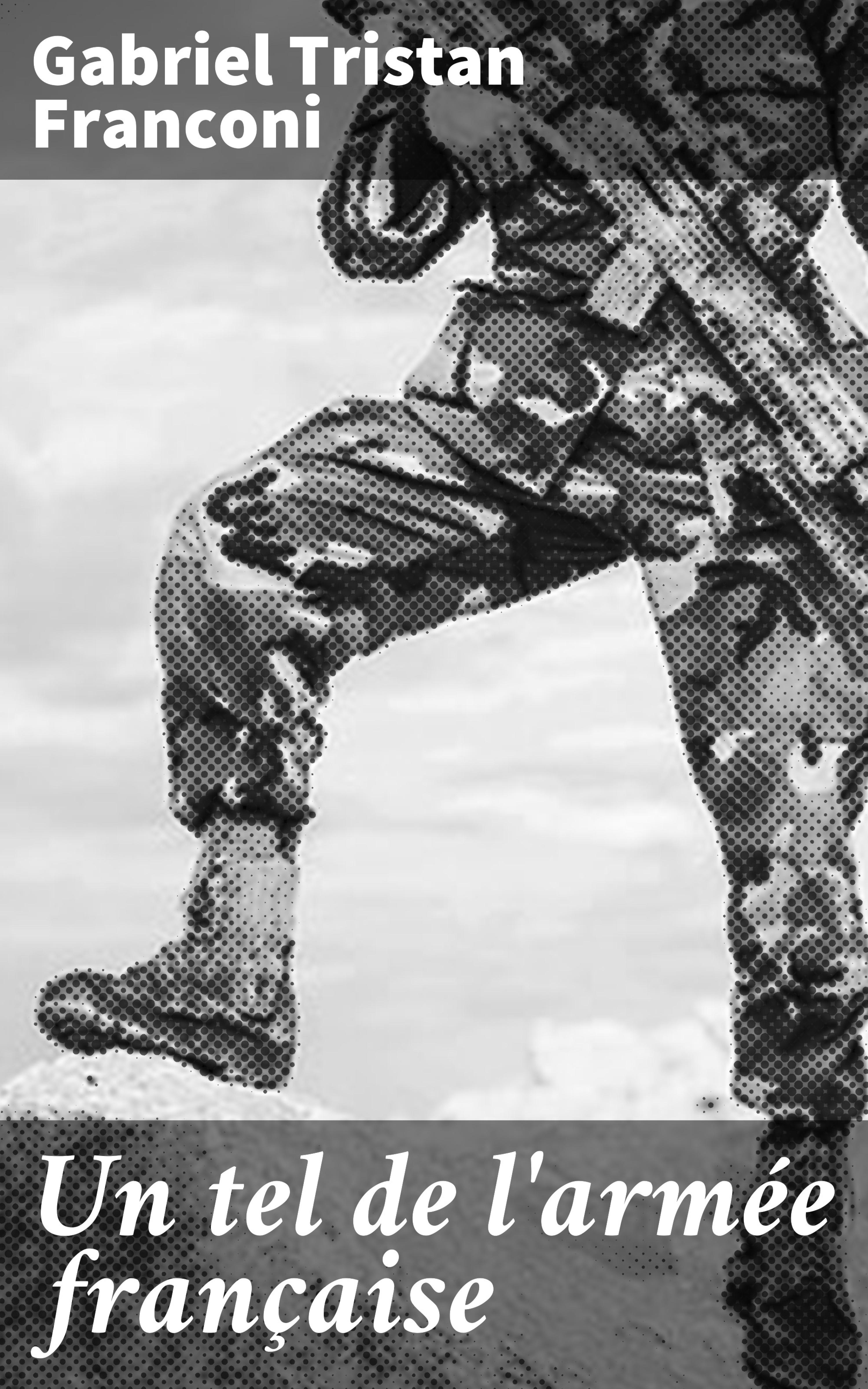 Обложка книги «Un tel de l'armée française»