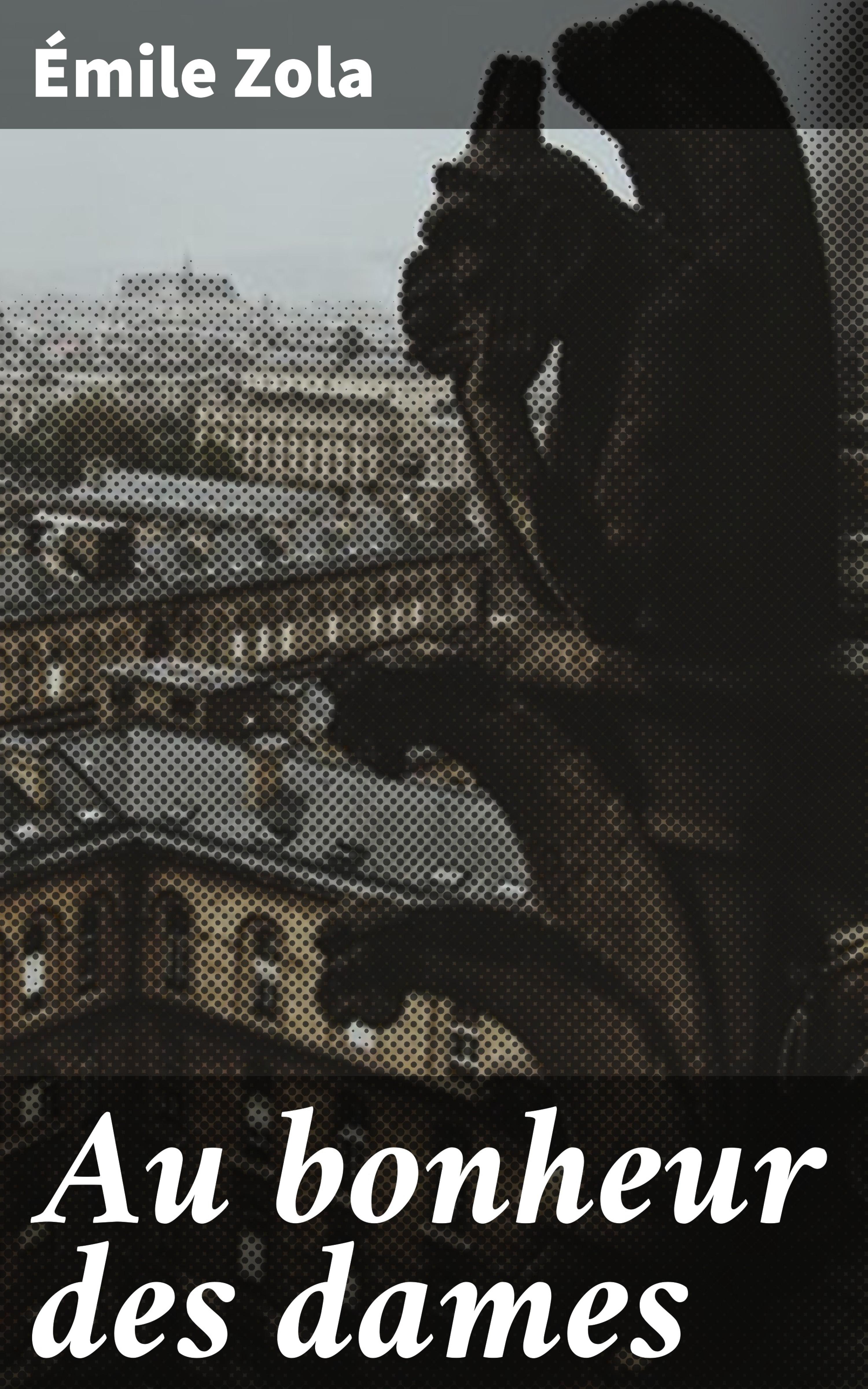 Обложка книги «Au bonheur des dames»