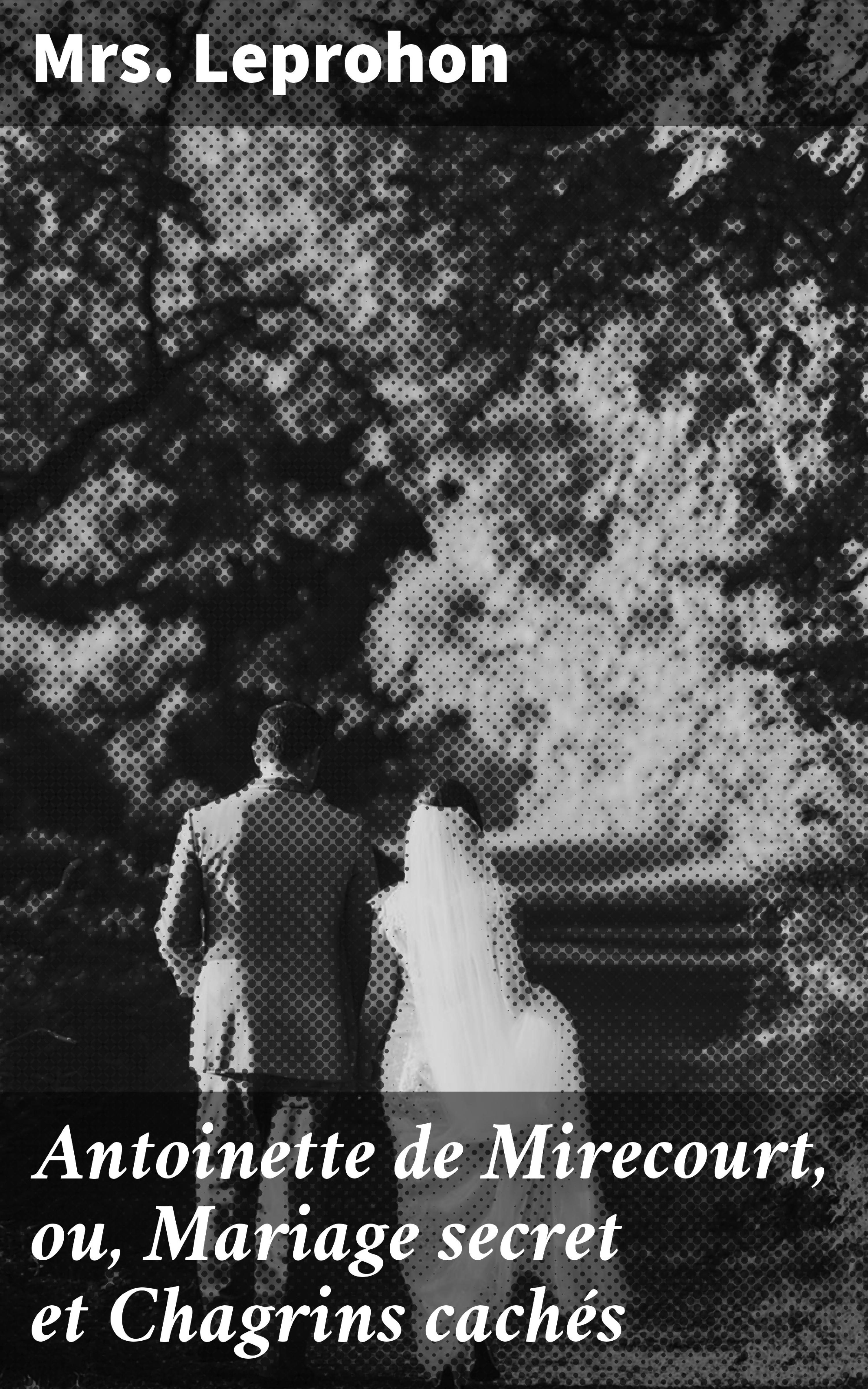 Обложка книги «Antoinette de Mirecourt, ou, Mariage secret et Chagrins cachés»