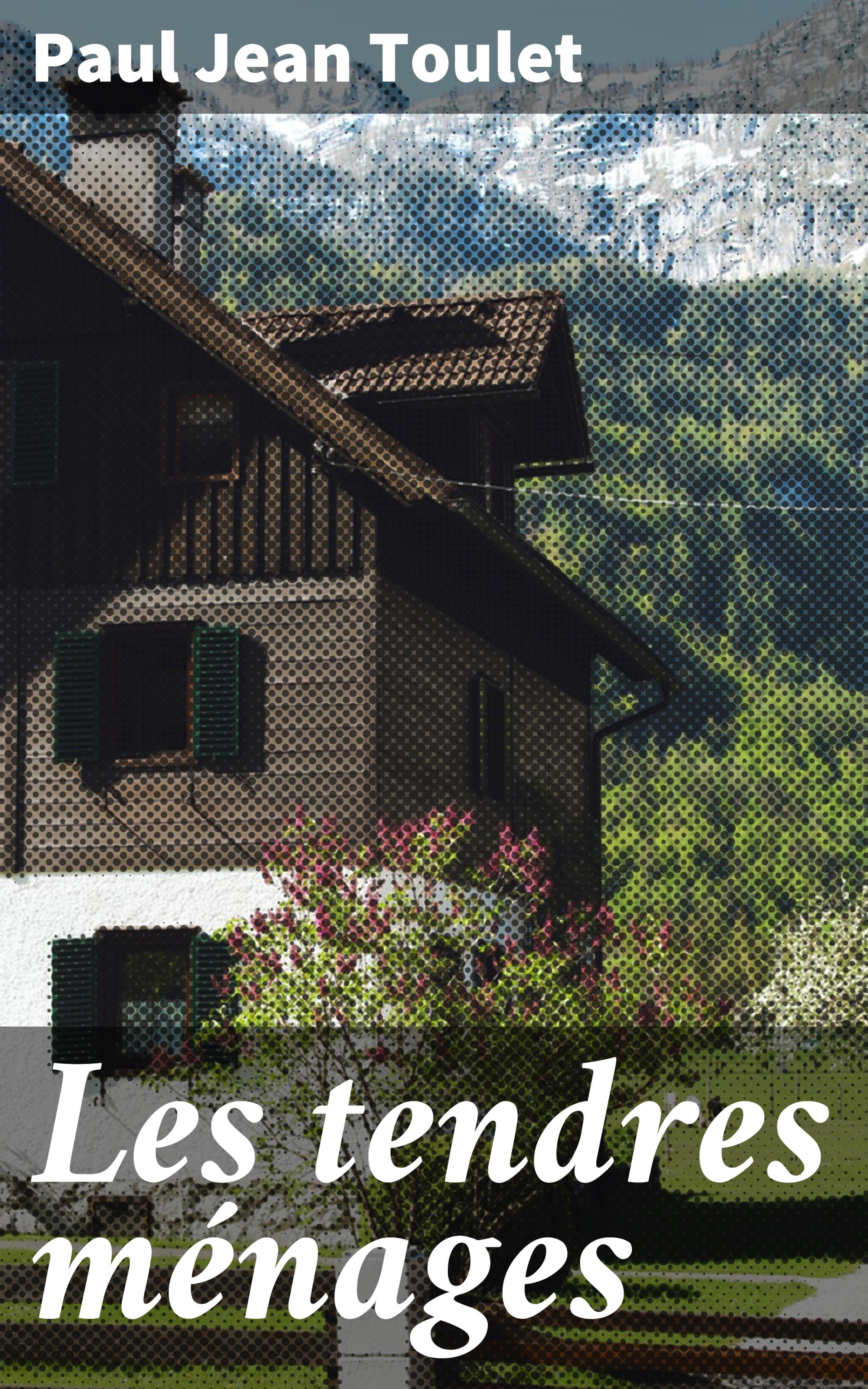 Обложка книги «Les tendres ménages»
