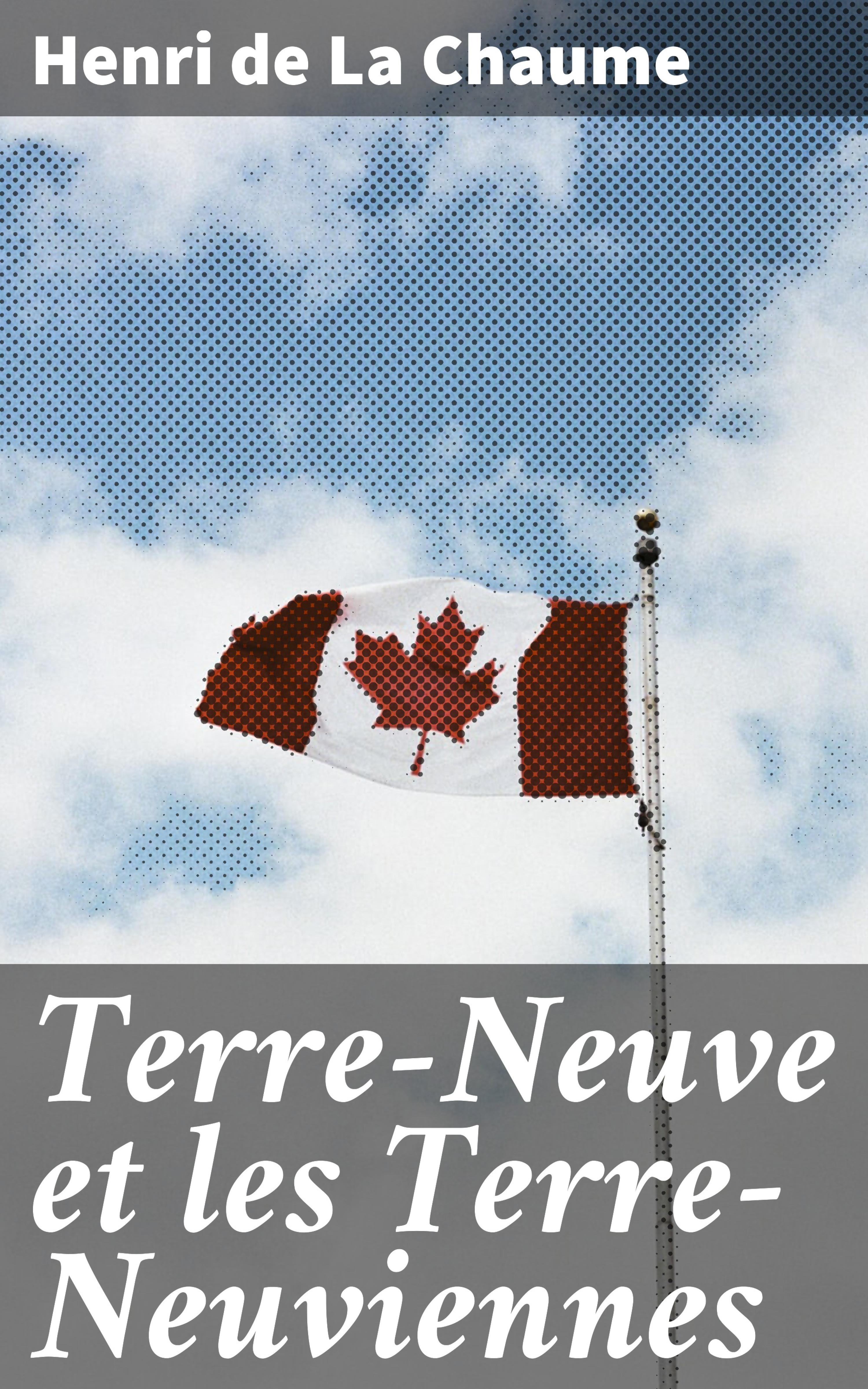 Обложка книги «Terre-Neuve et les Terre-Neuviennes»