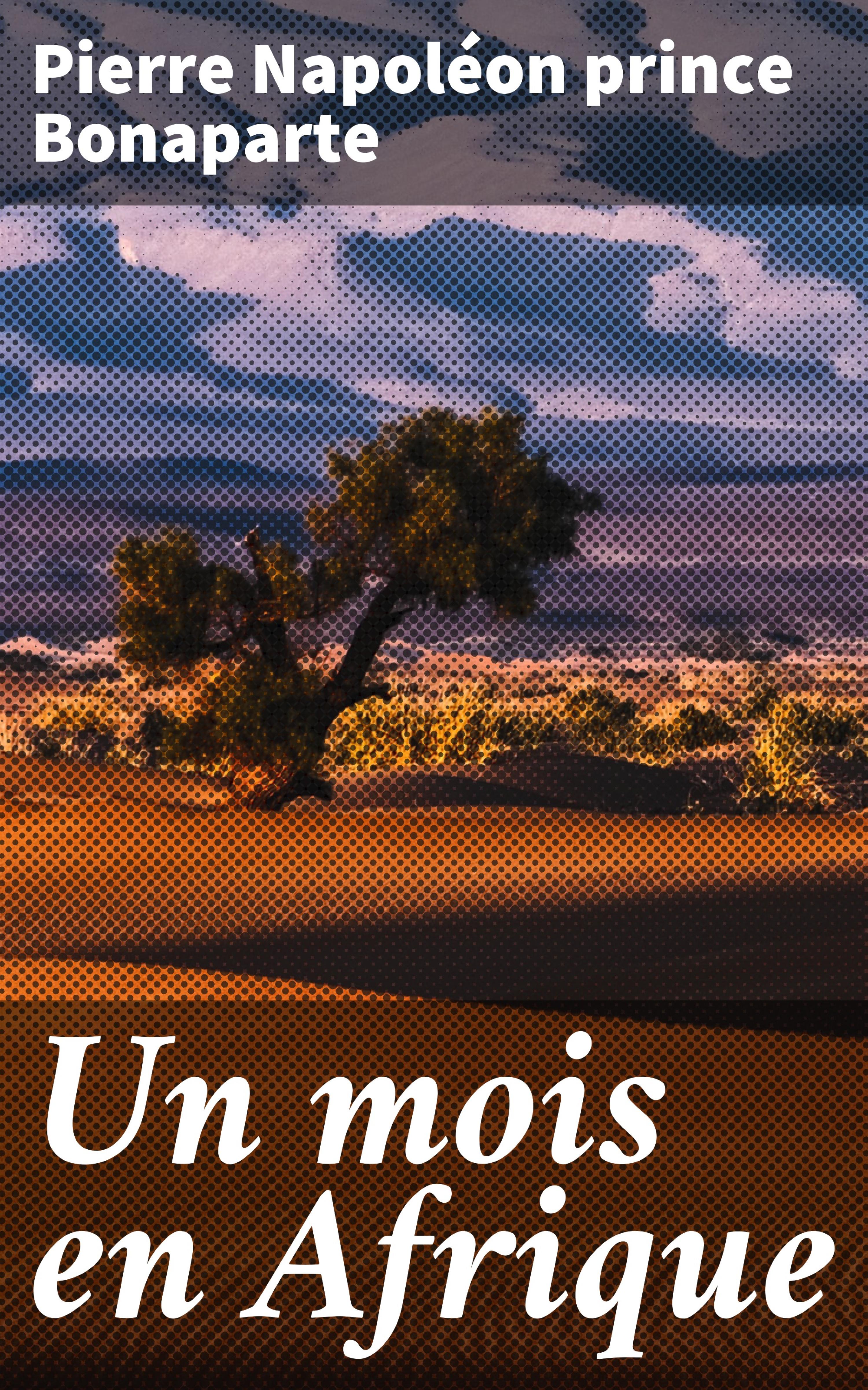 Обложка книги «Un mois en Afrique»