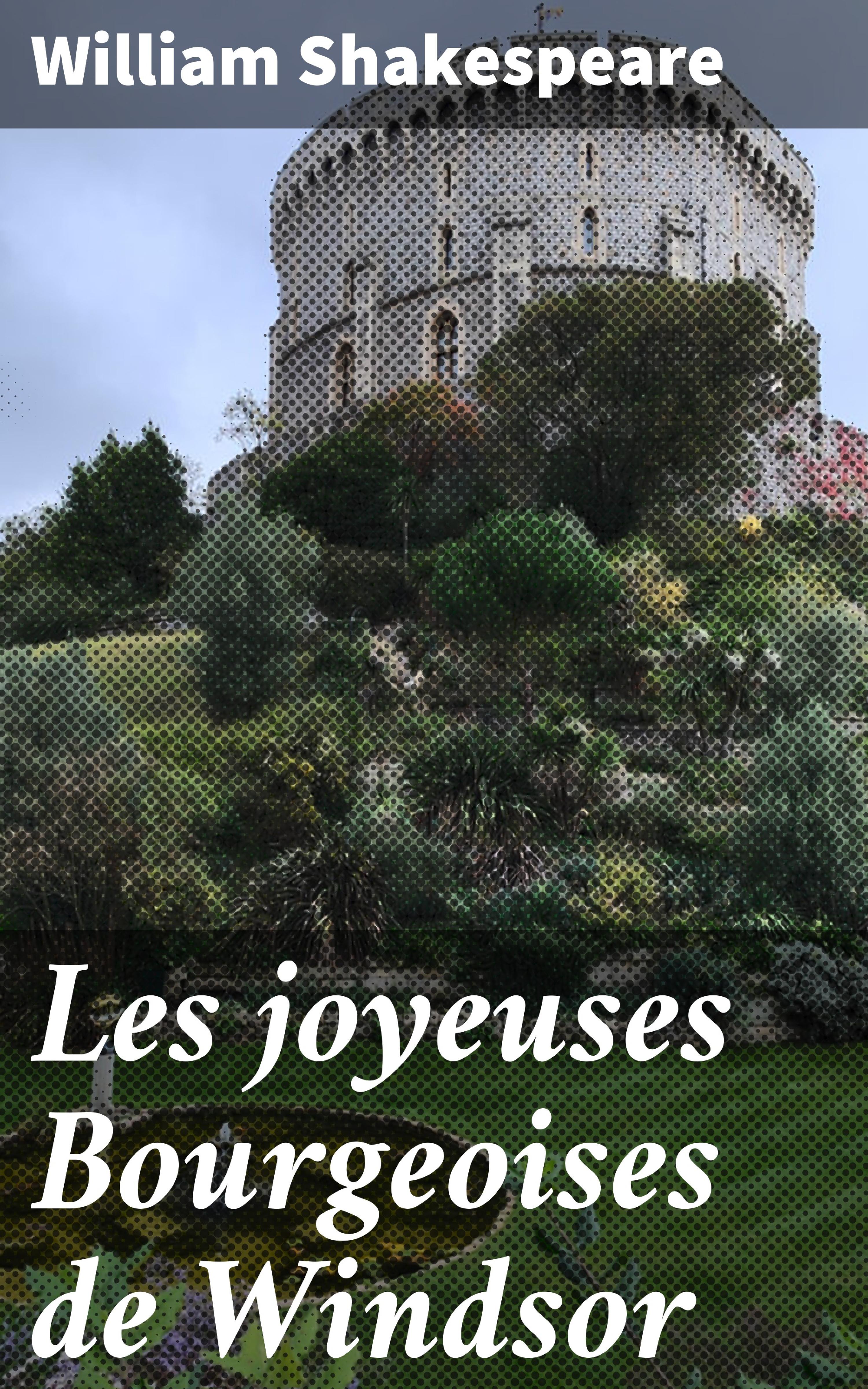 Обложка книги «Les joyeuses Bourgeoises de Windsor»