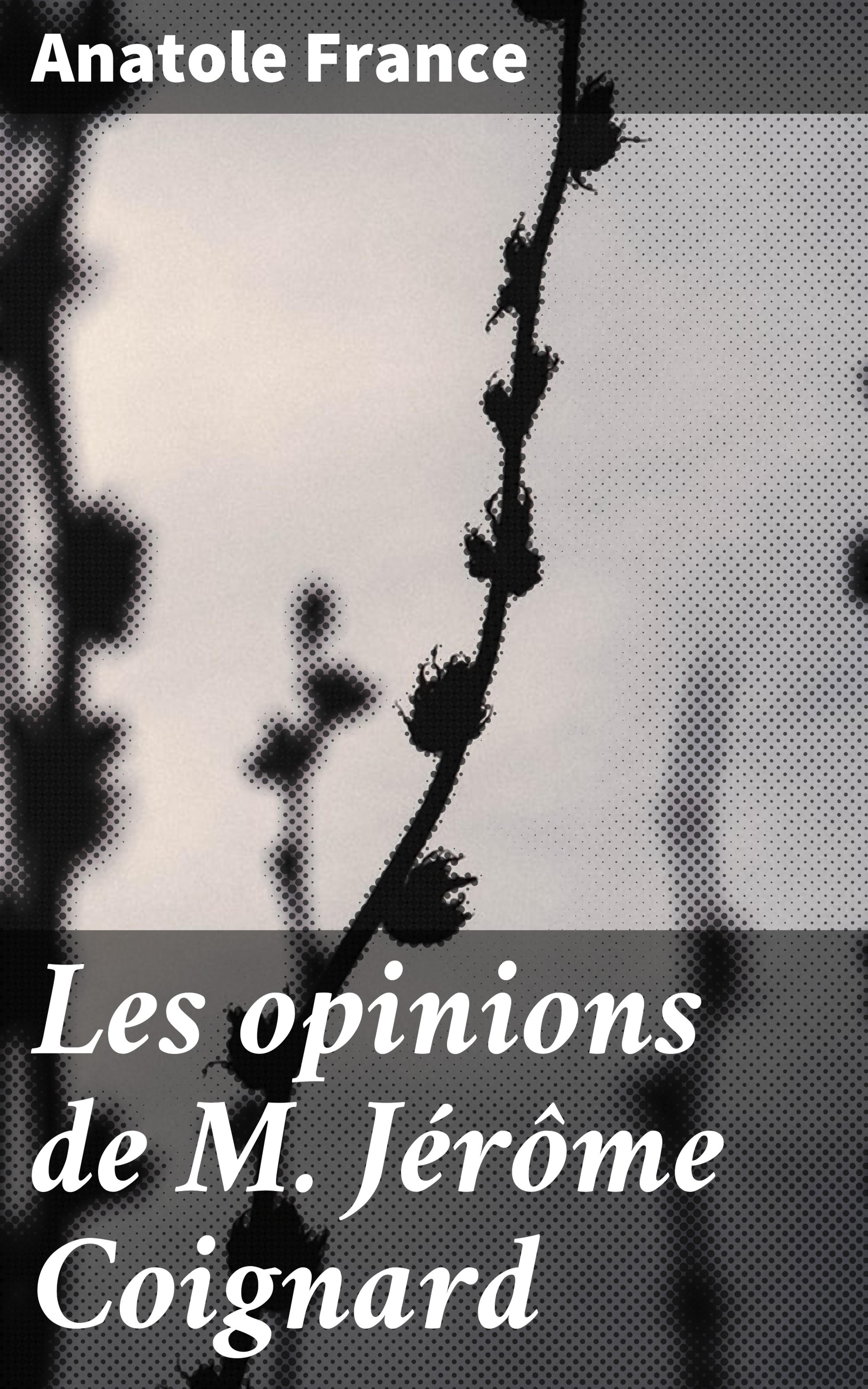 Обложка книги «Les opinions de M. Jérôme Coignard»