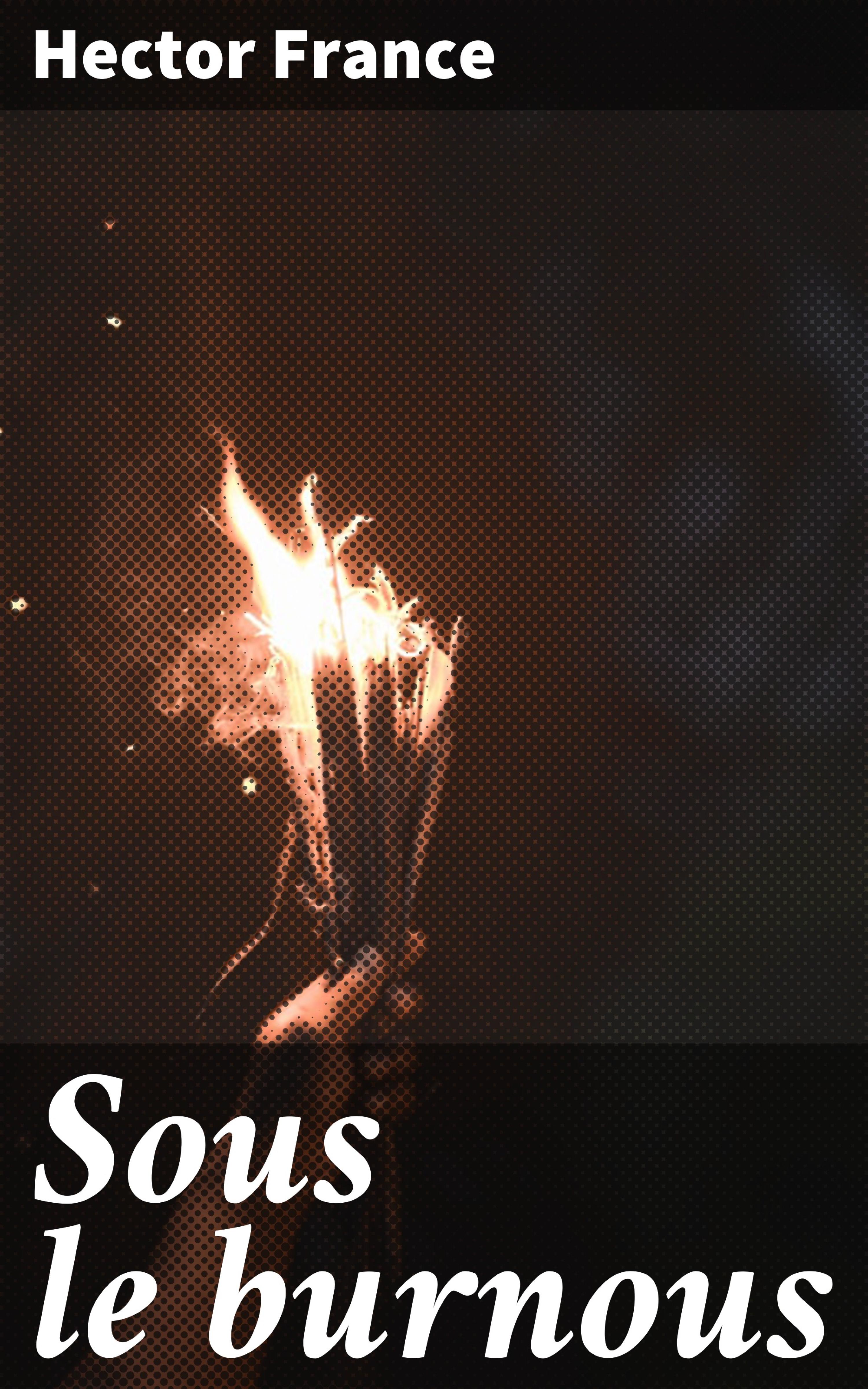Обложка книги «Sous le burnous»
