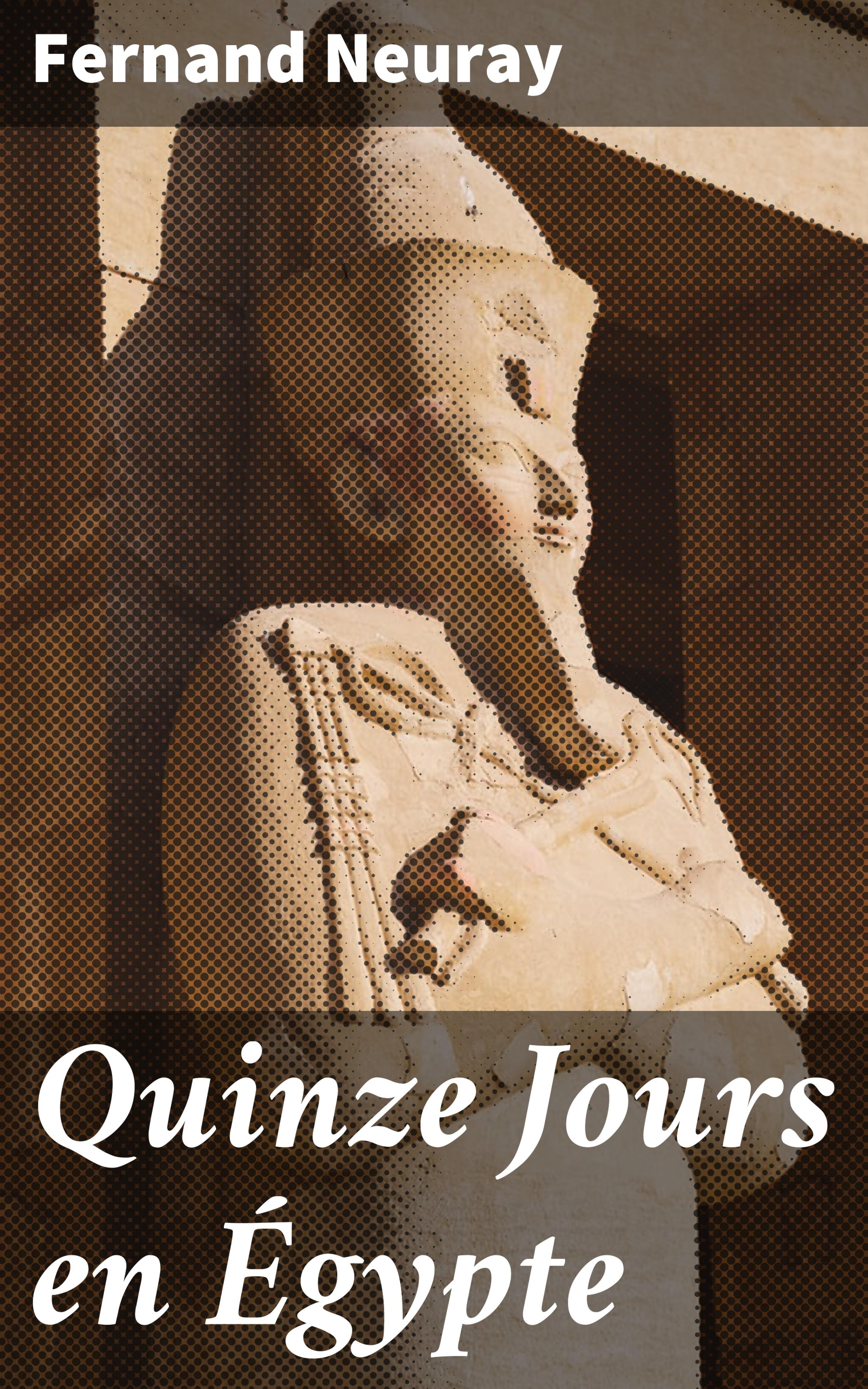 Обложка книги «Quinze Jours en Égypte»