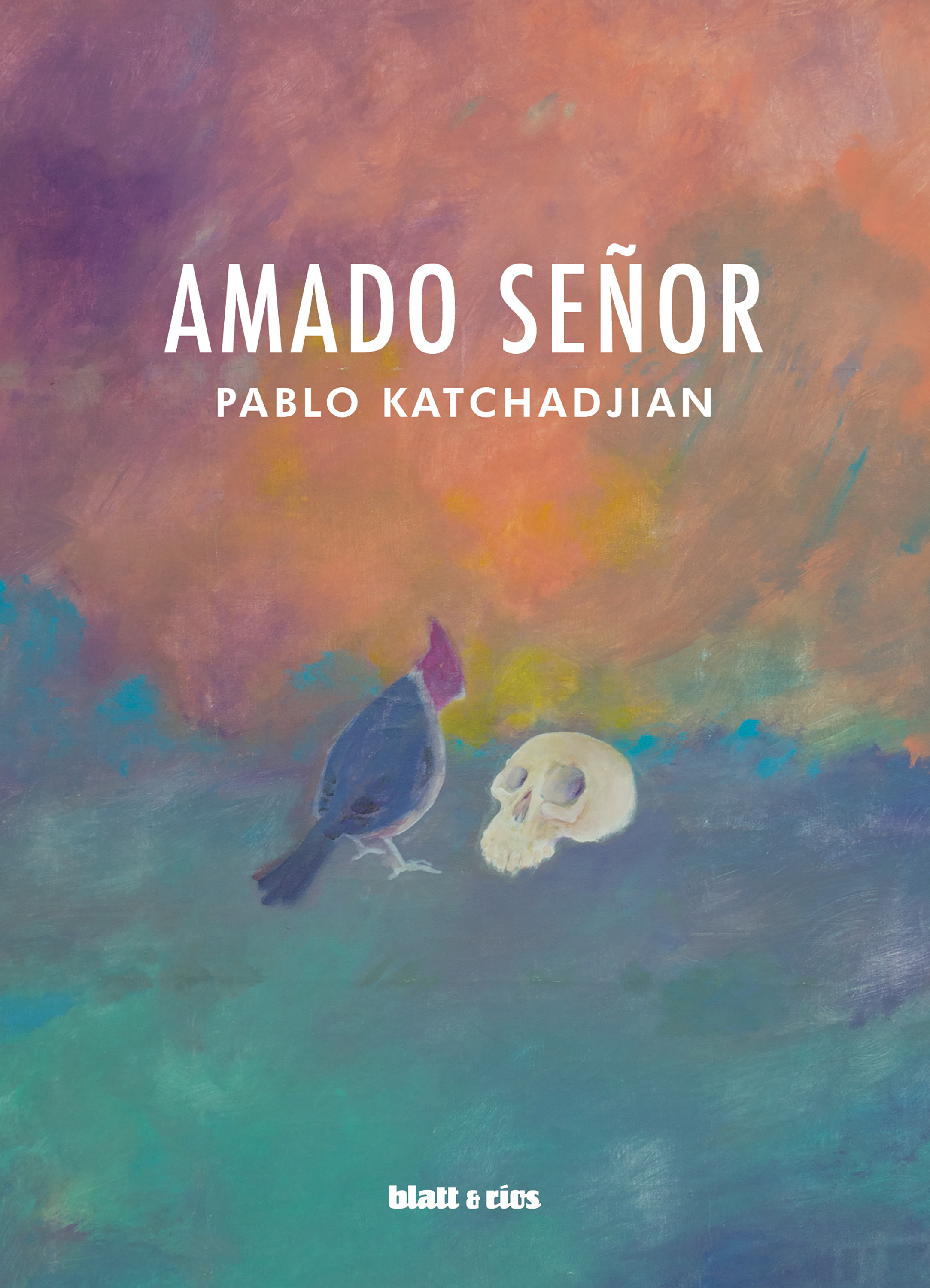Обложка книги «Amado Señor»