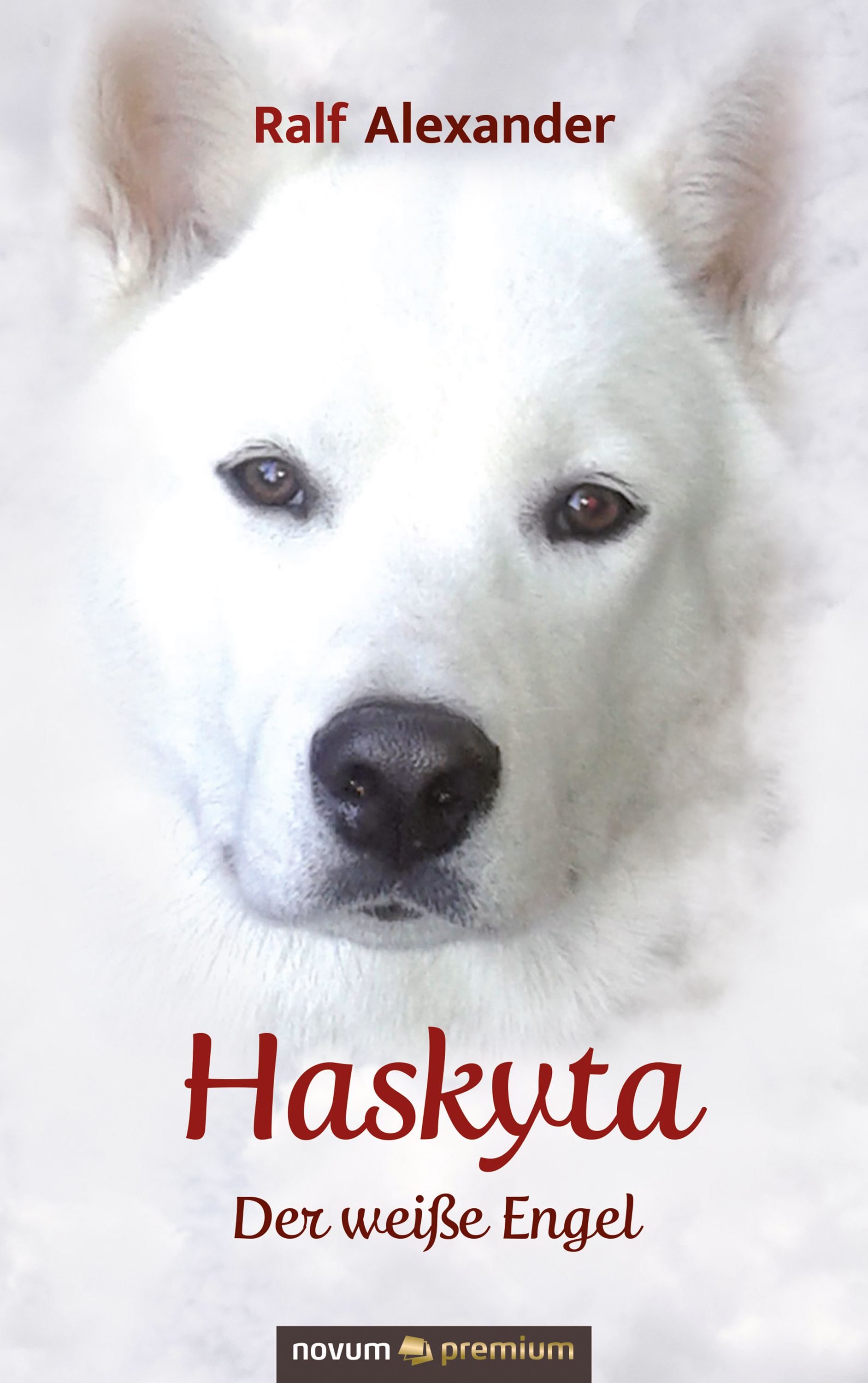 Обложка книги «Haskyta»
