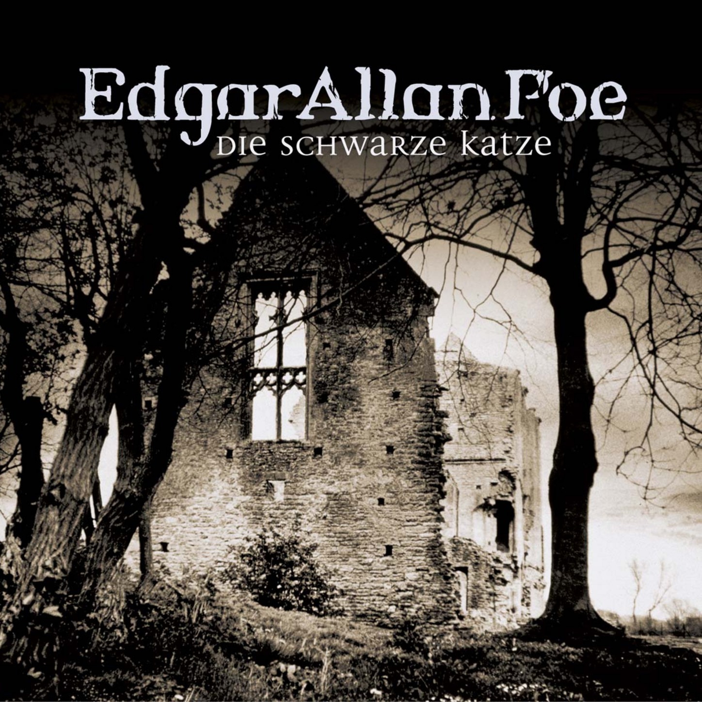 Обложка книги «Edgar Allan Poe, Folge 2: Die schwarze Katze»