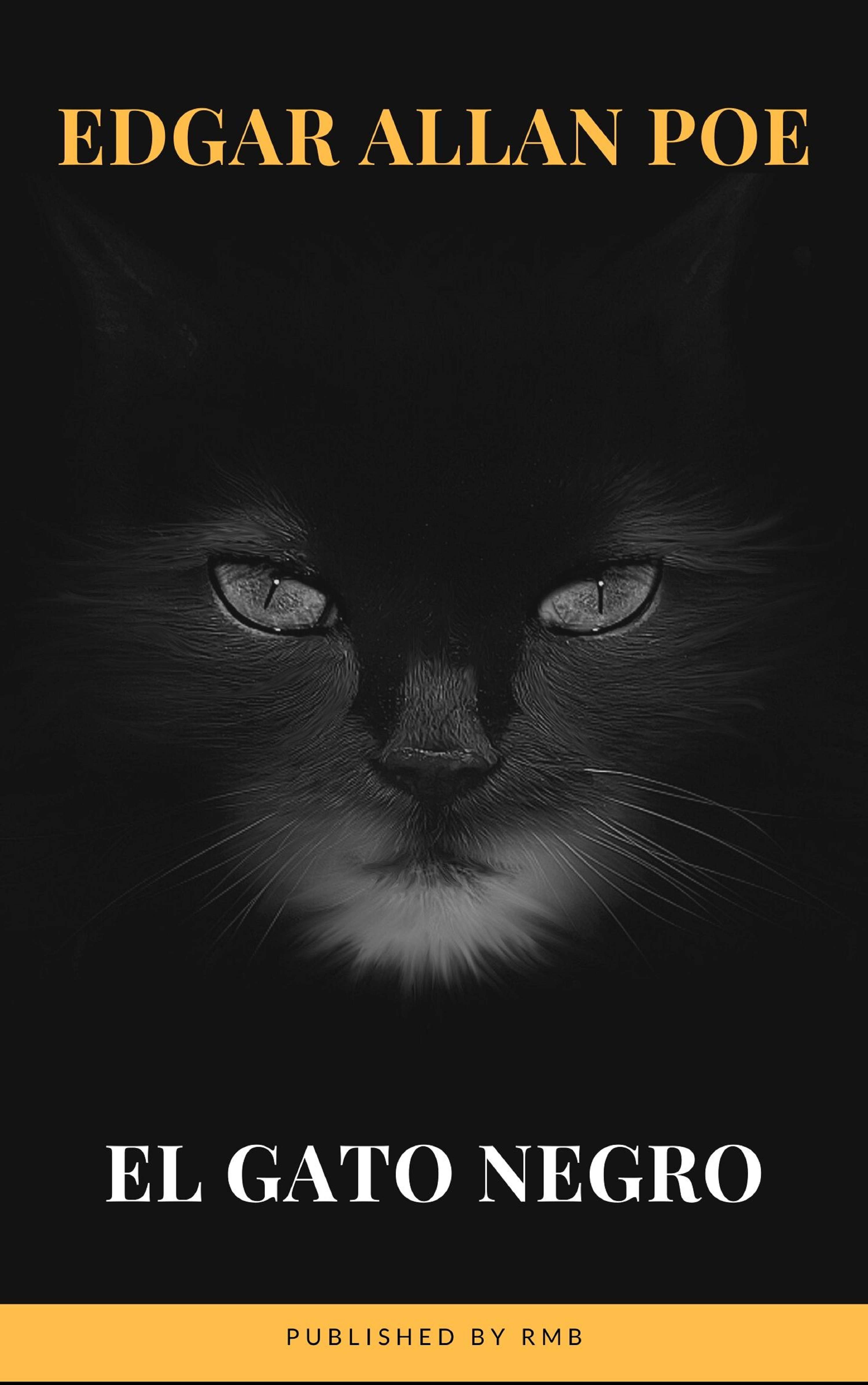 Обложка книги «El gato negro»