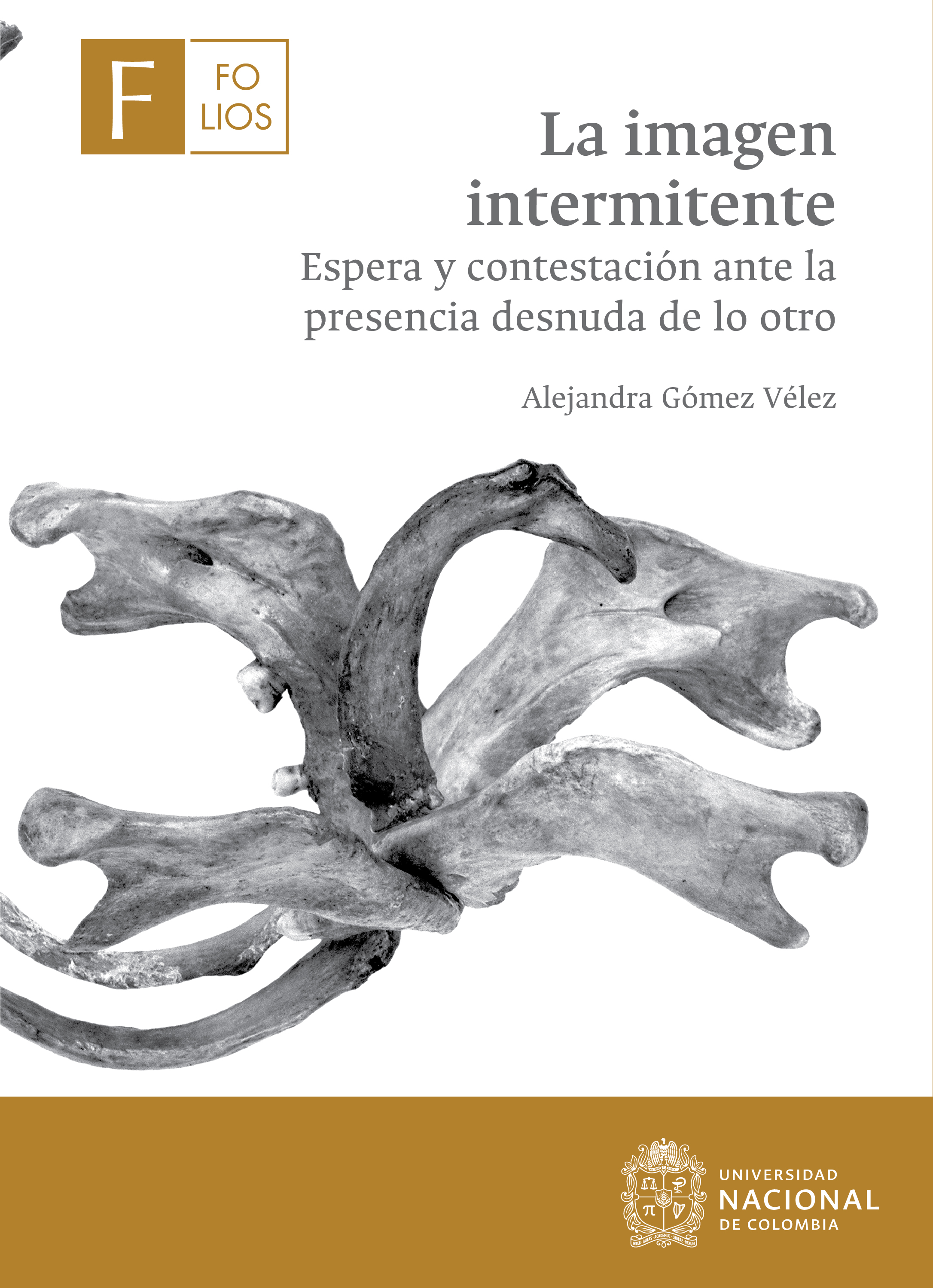 Обложка книги «La imagen intermitente»