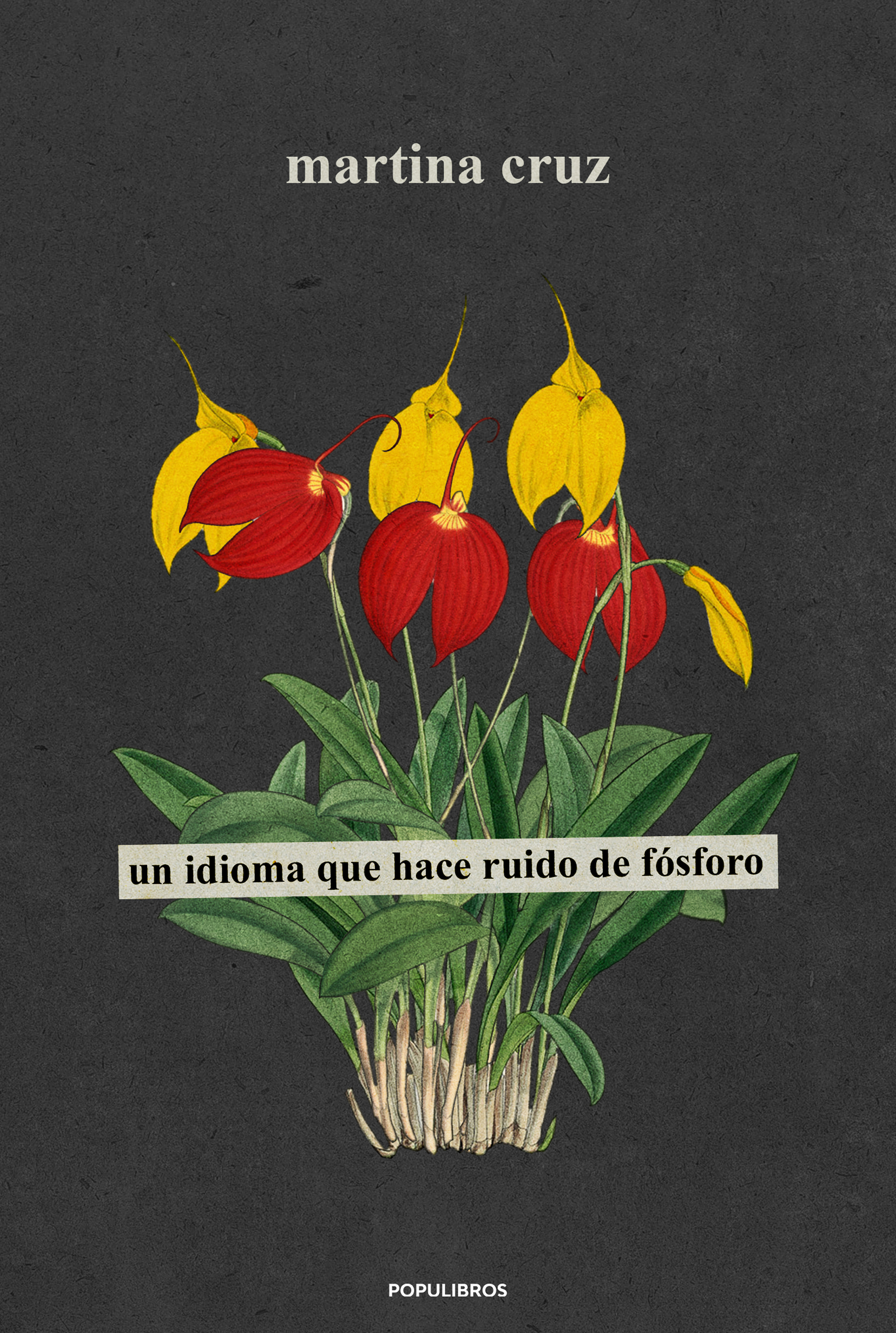 Обложка книги «Un idioma que hace ruido a fósforo»