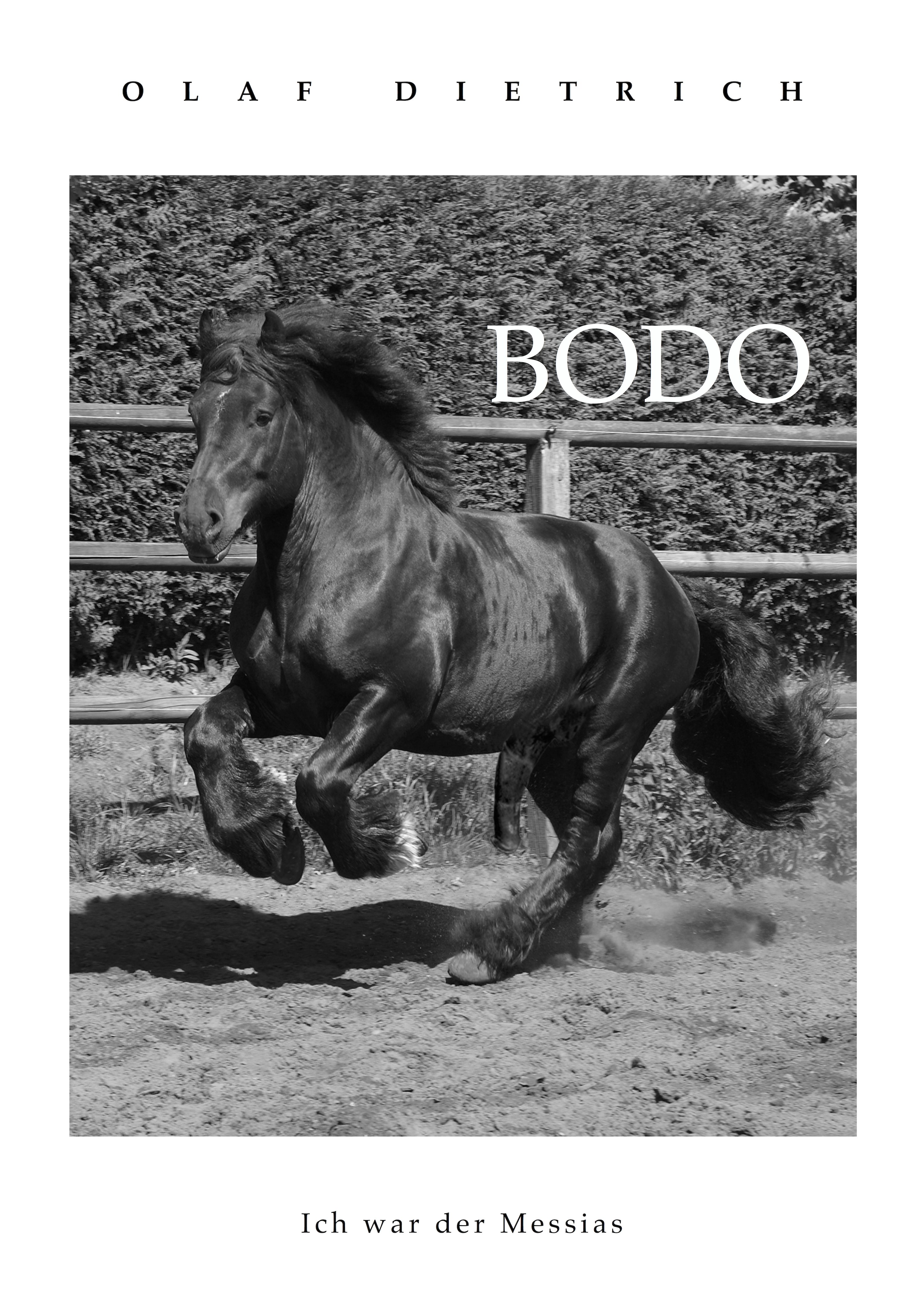 Обложка книги «Bodo»