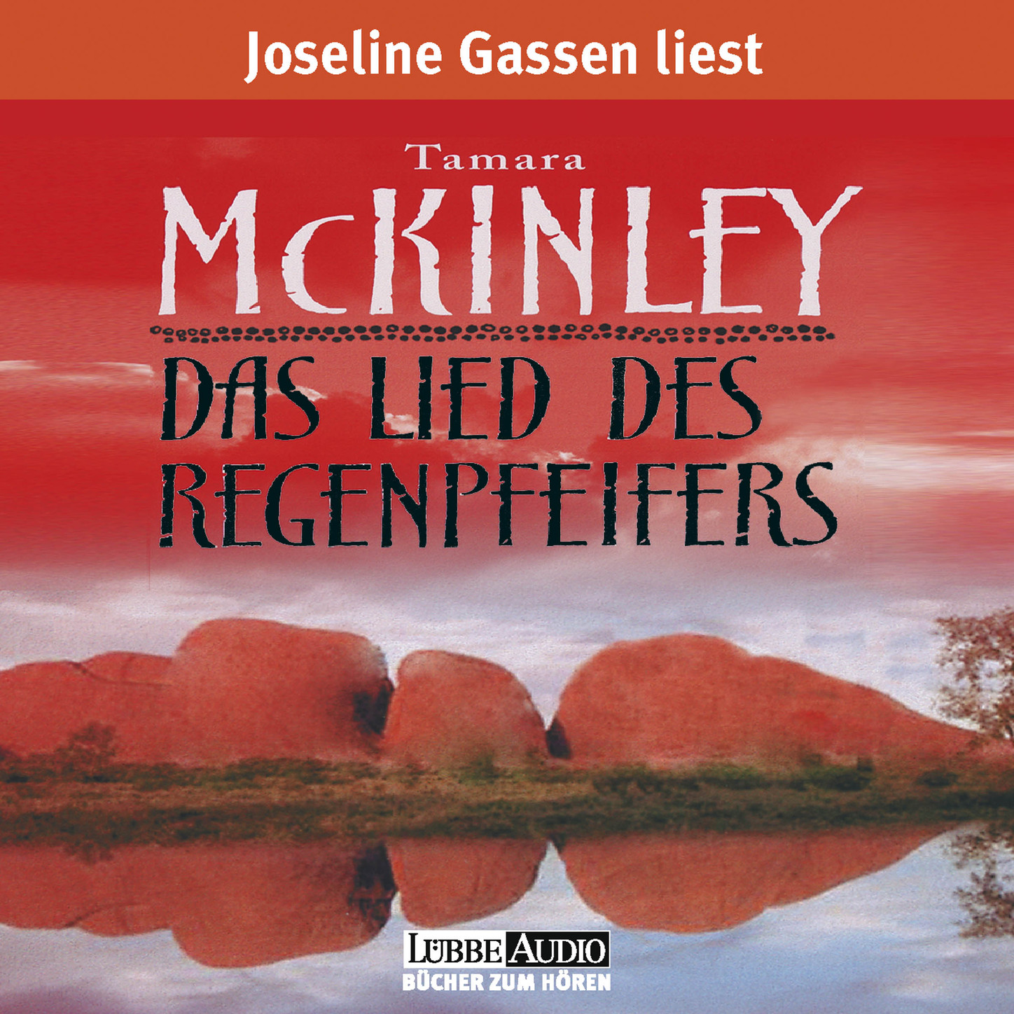 Обложка книги «Das Lied des Regenpfeifers»